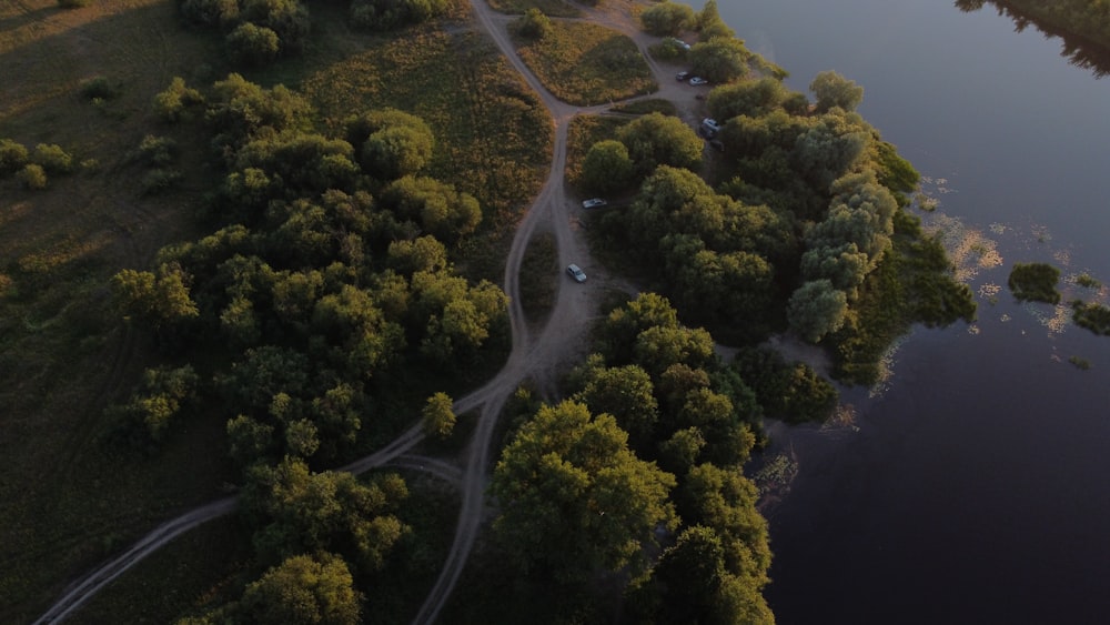 a road with trees and grass by a body of water