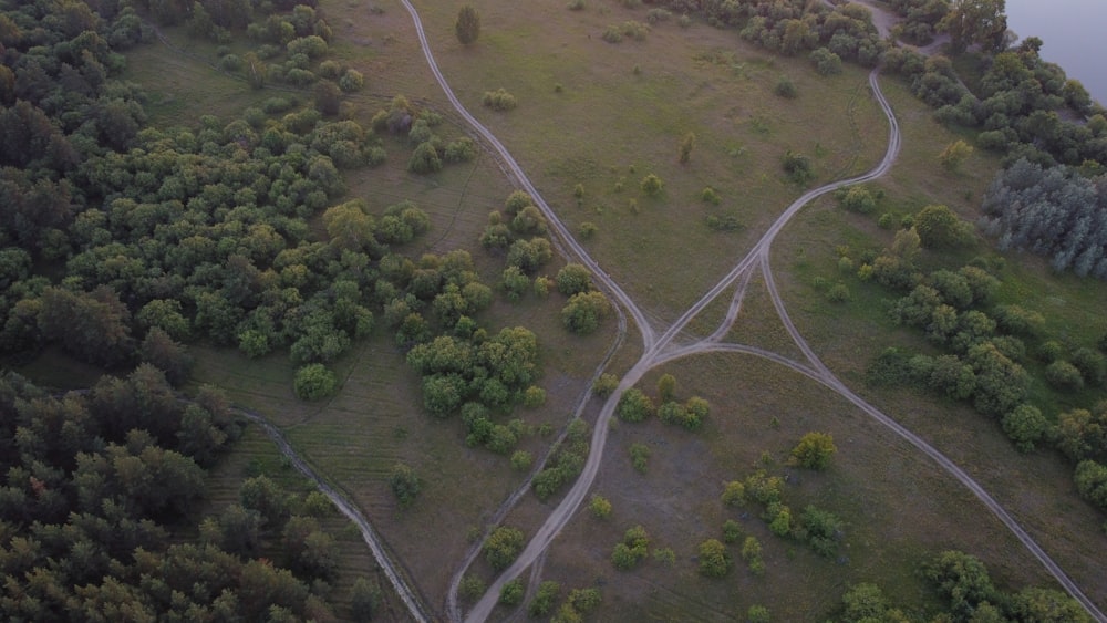 a winding road through a forest