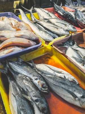 A selection of fresh fish displayed on trays in a market setting. The fish vary in size and type, with some having a silvery sheen and others with orange or white scales. The trays are colorful, overflowing with fish, and arranged in an organized manner.