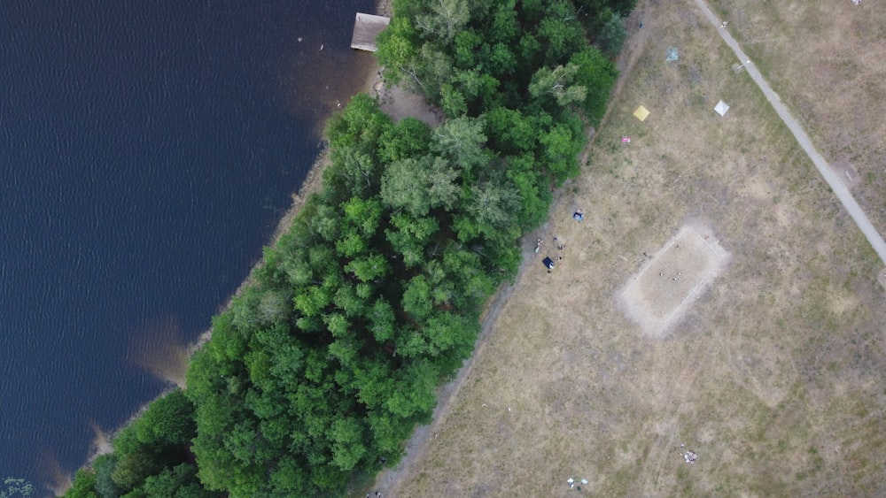 a group of people walking on a path next to a body of water