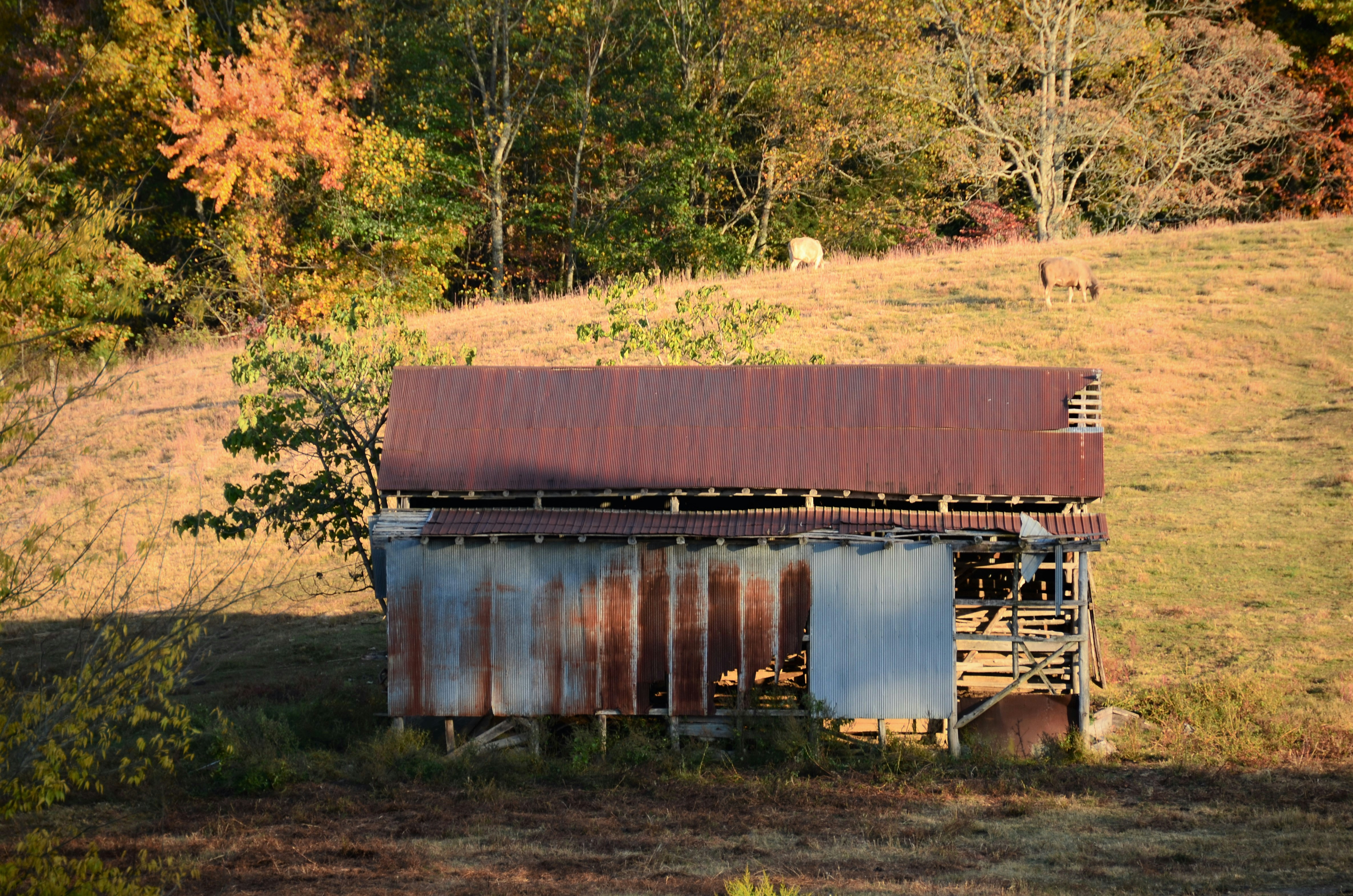 a barn in a field