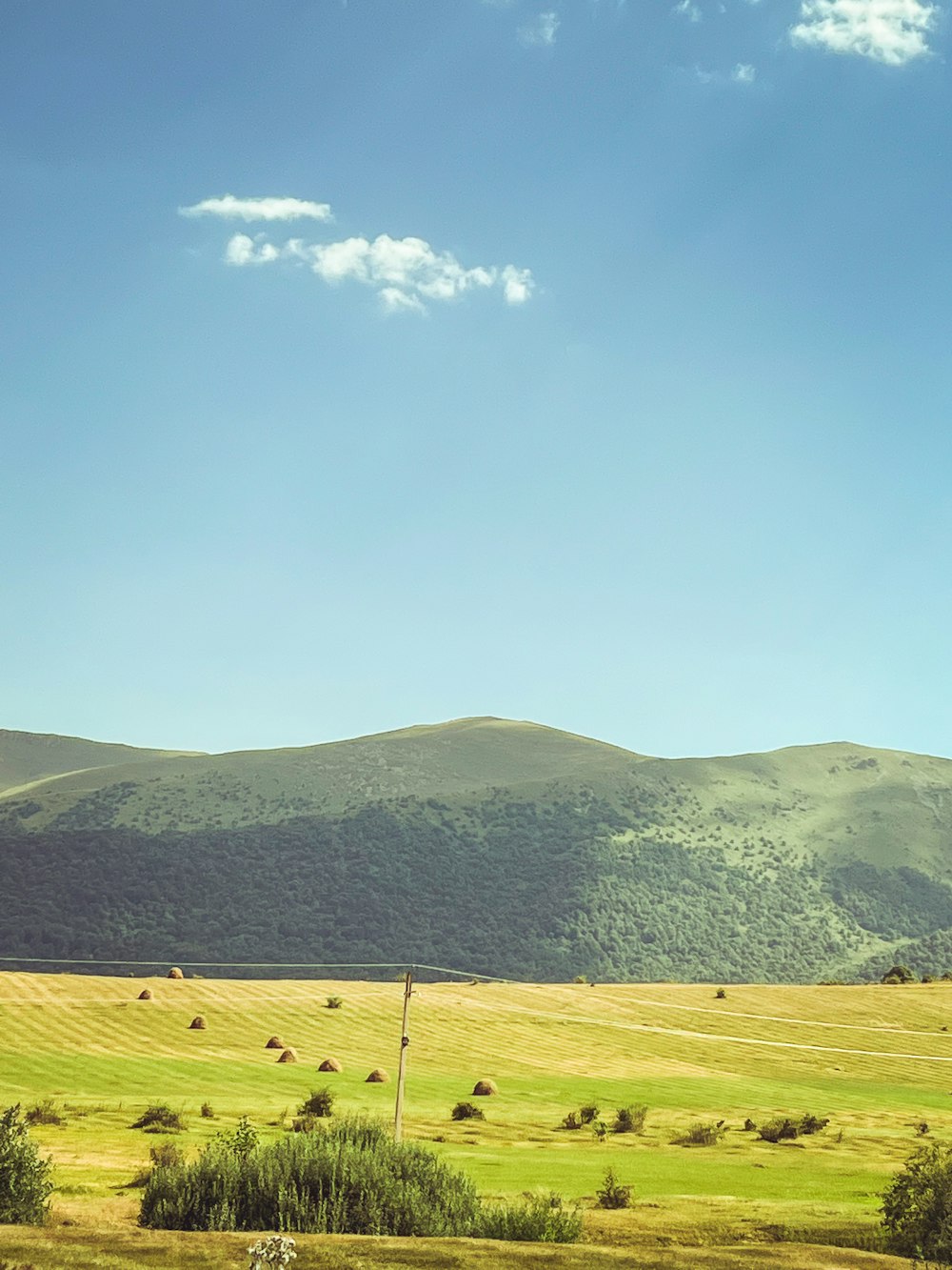 a field with a few animals in it and hills in the background