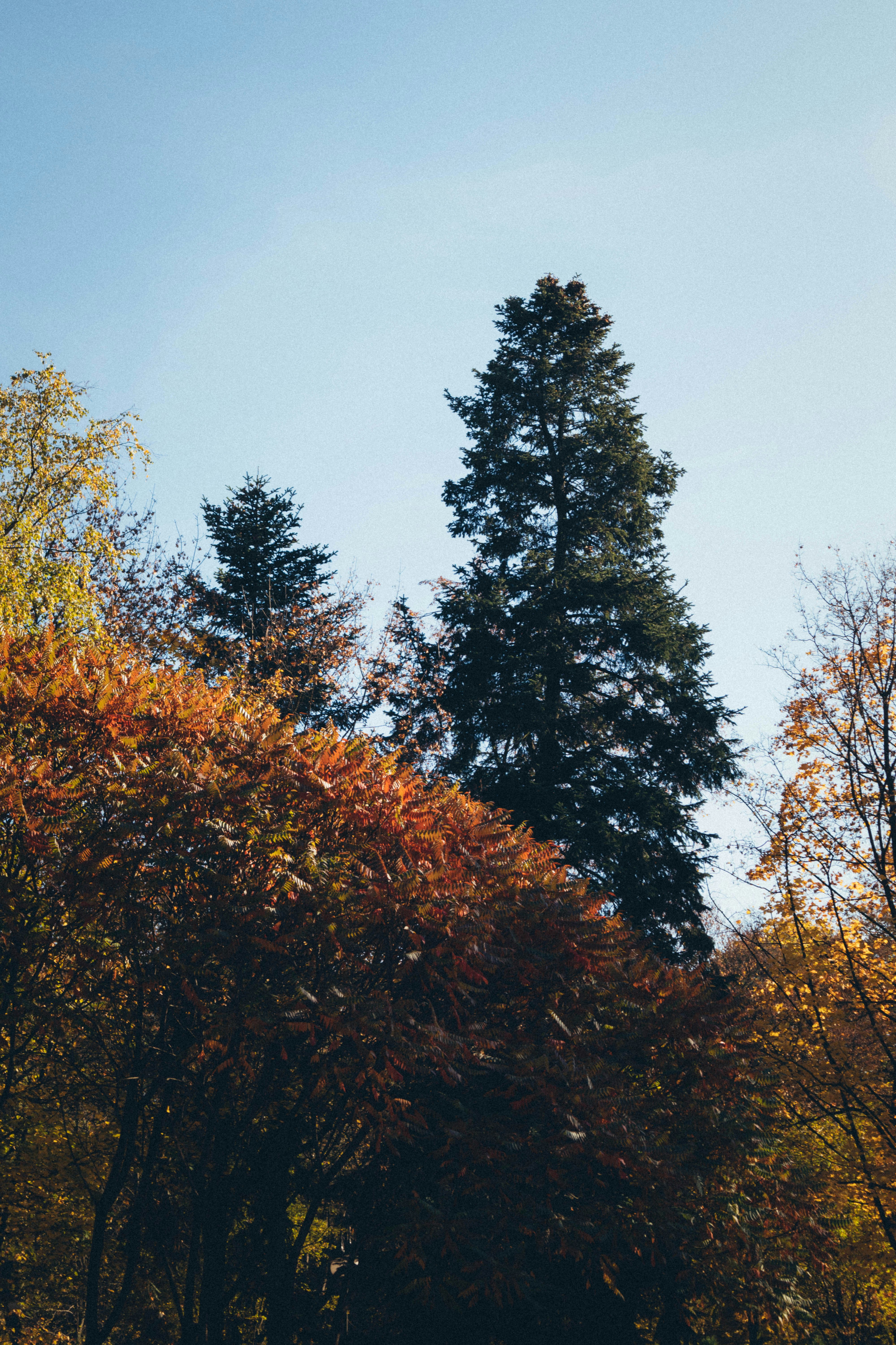 Photo by taraschuiko