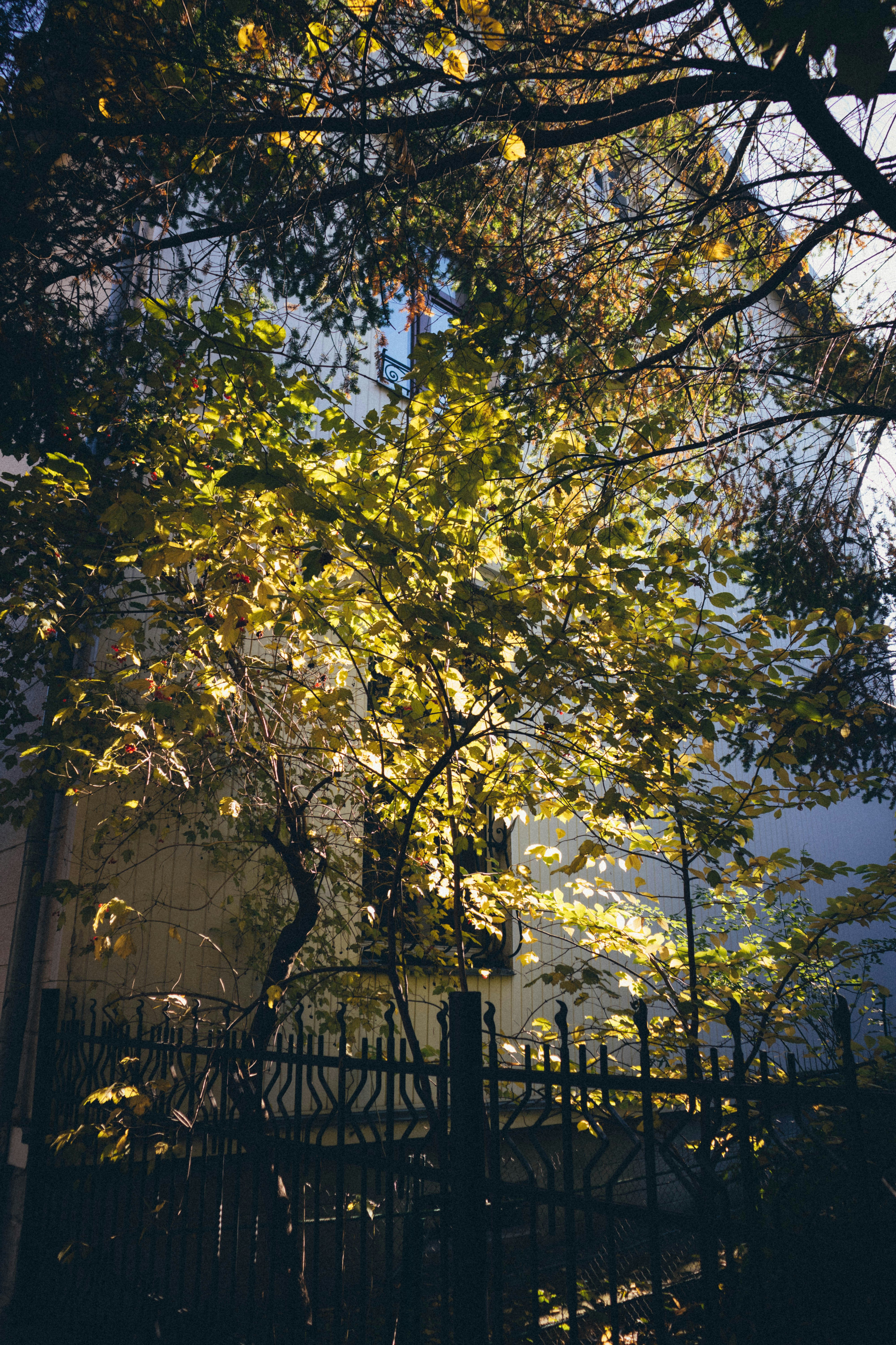 Photo by taraschuiko