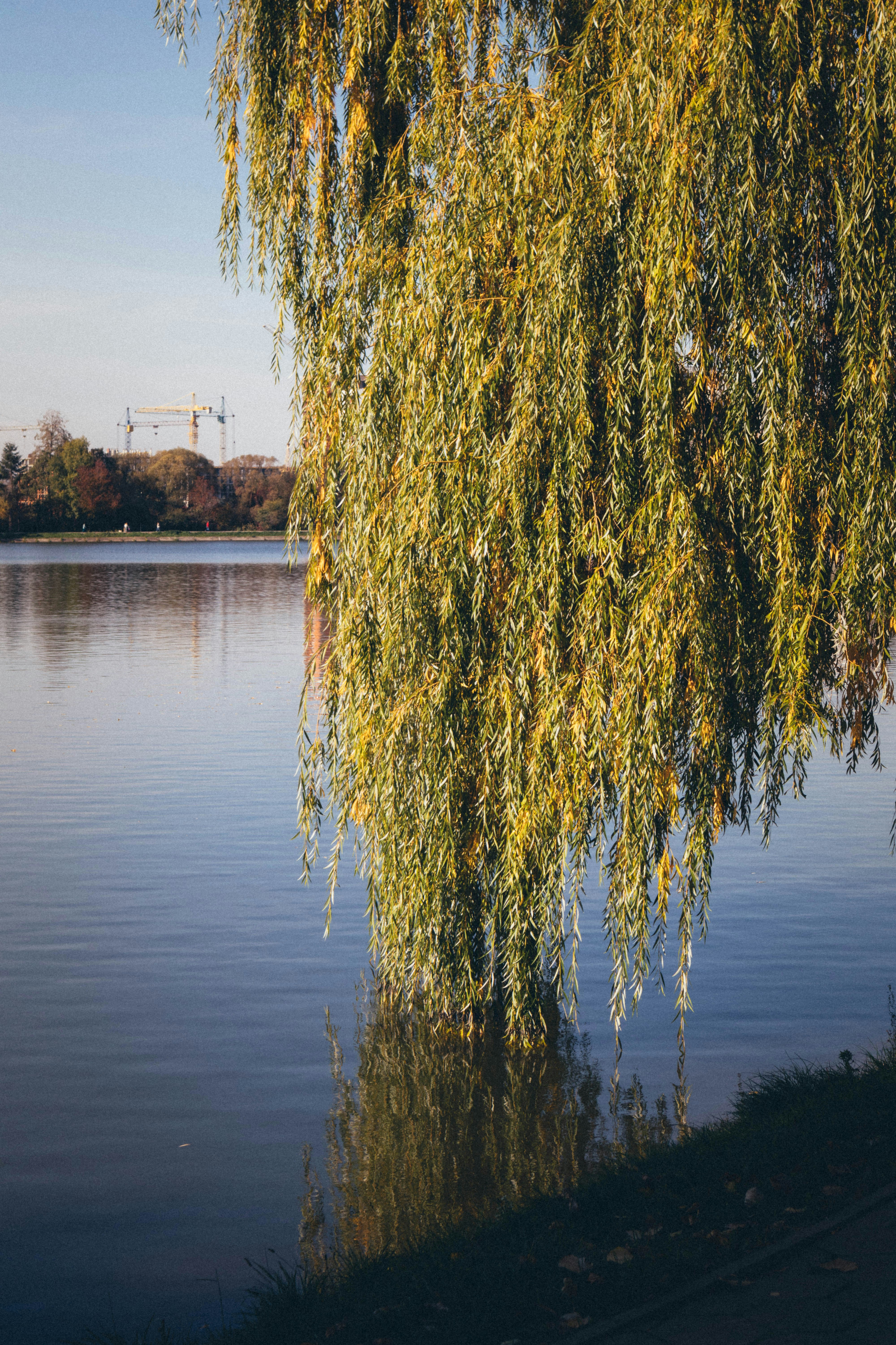 Photo by taraschuiko