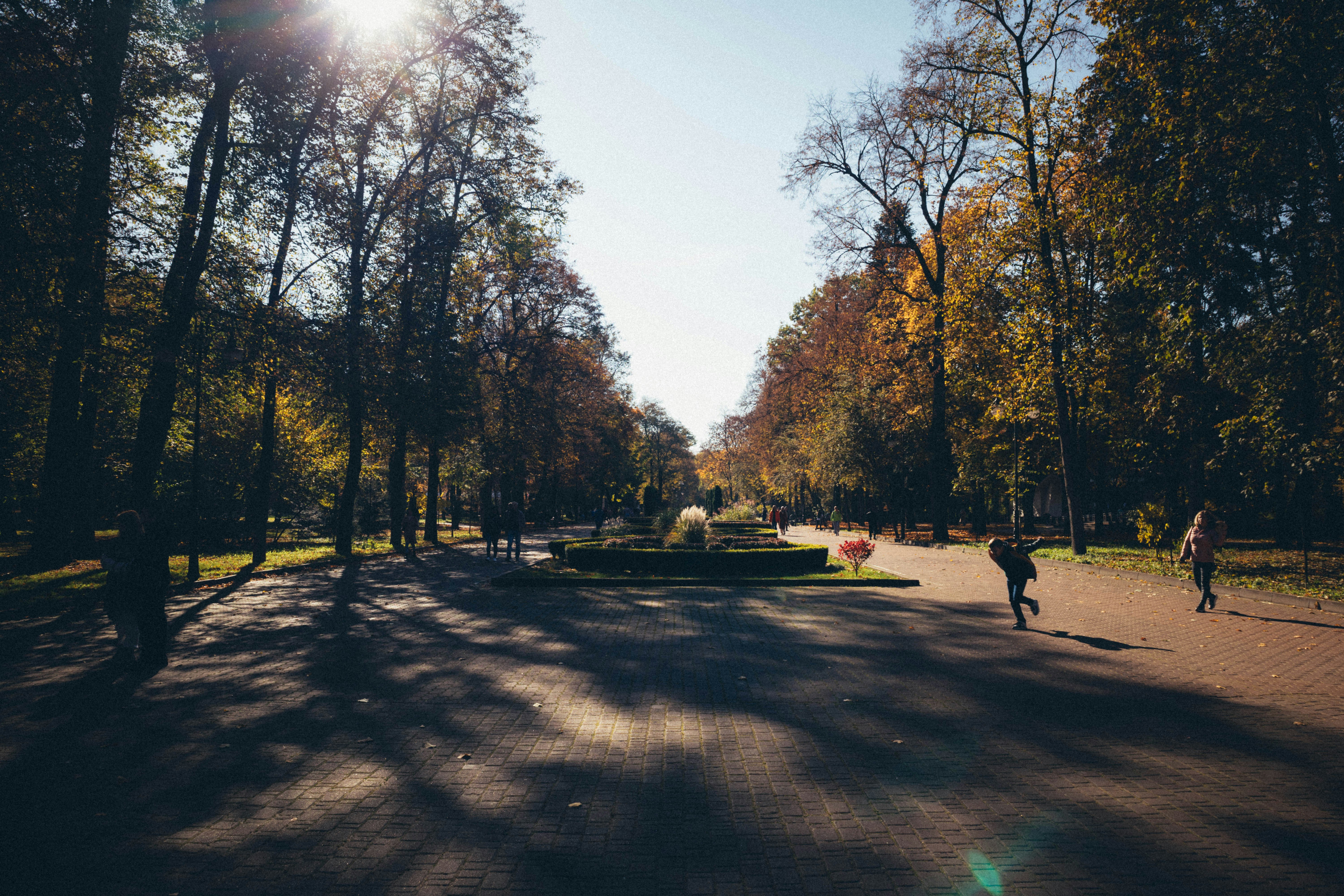 Photo by taraschuiko