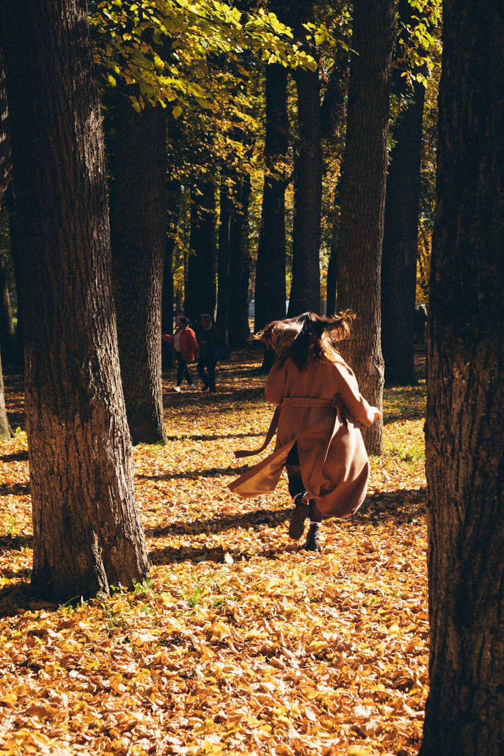 a horse running through a forest