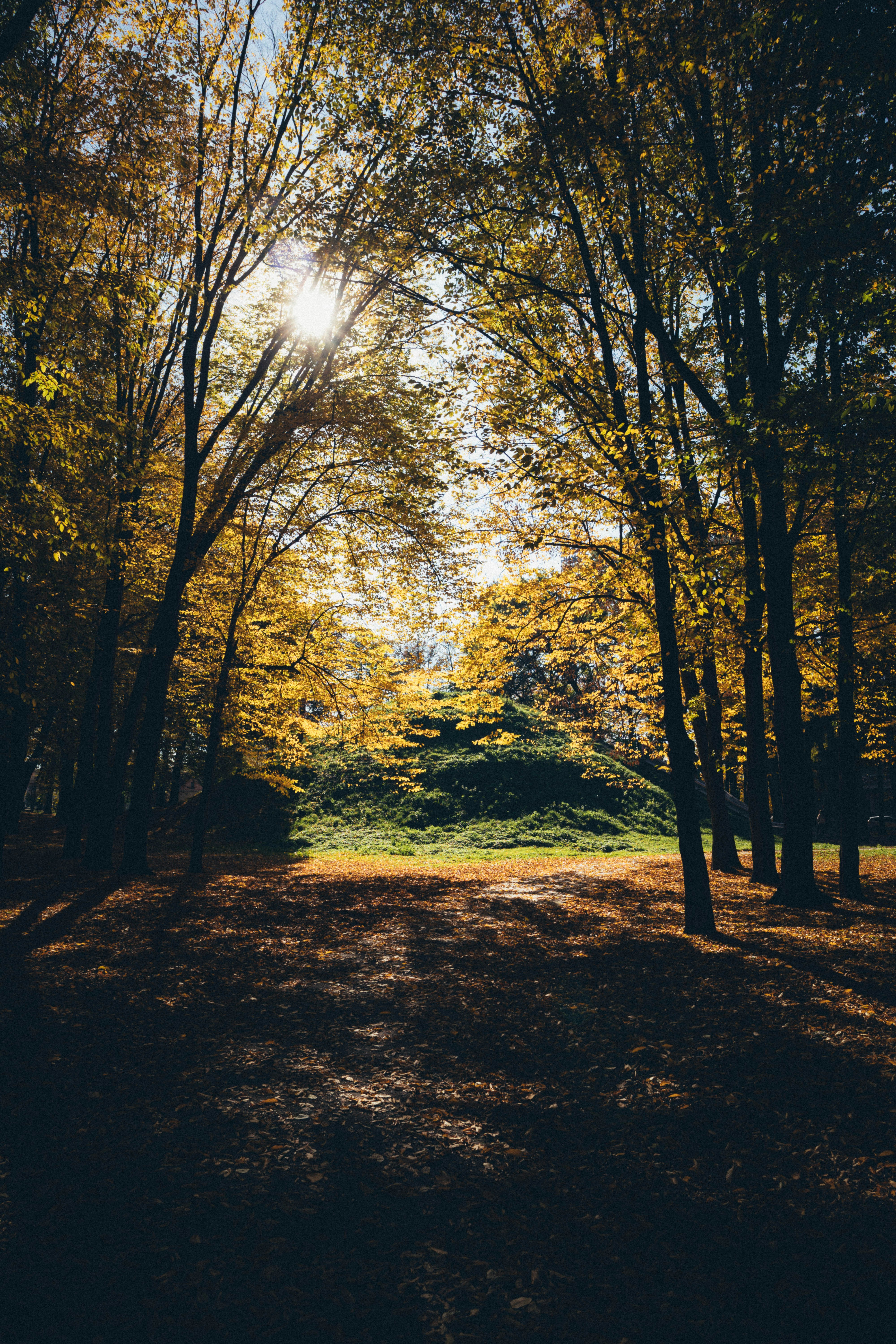 Photo by taraschuiko