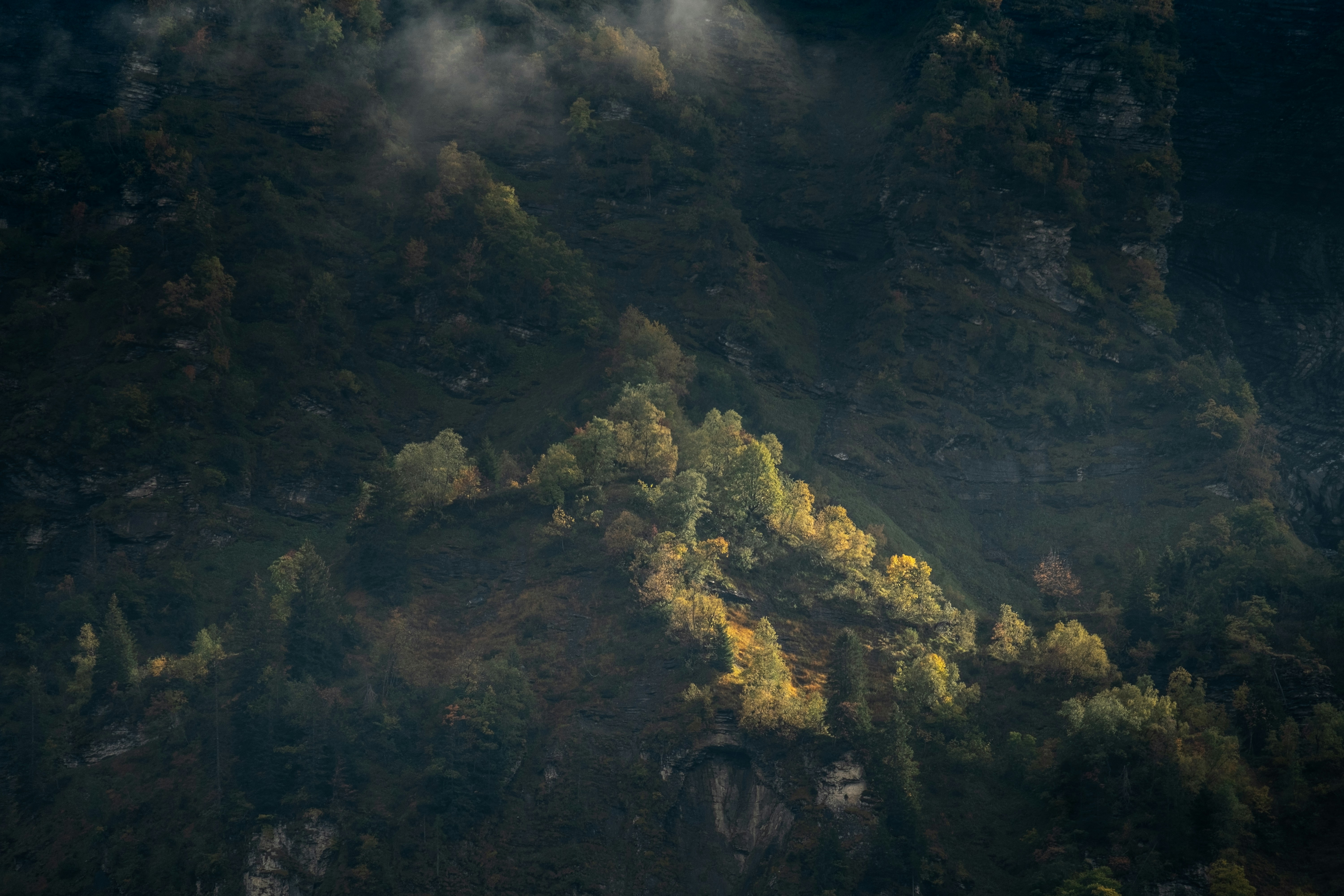 Photo by flousentimental