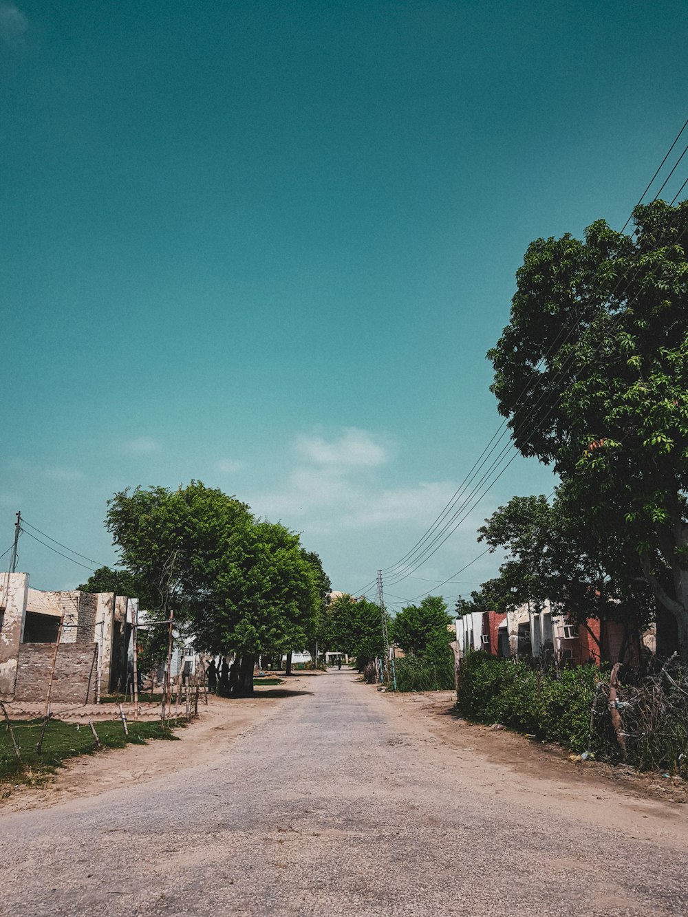 a dirt road with trees on either side of it