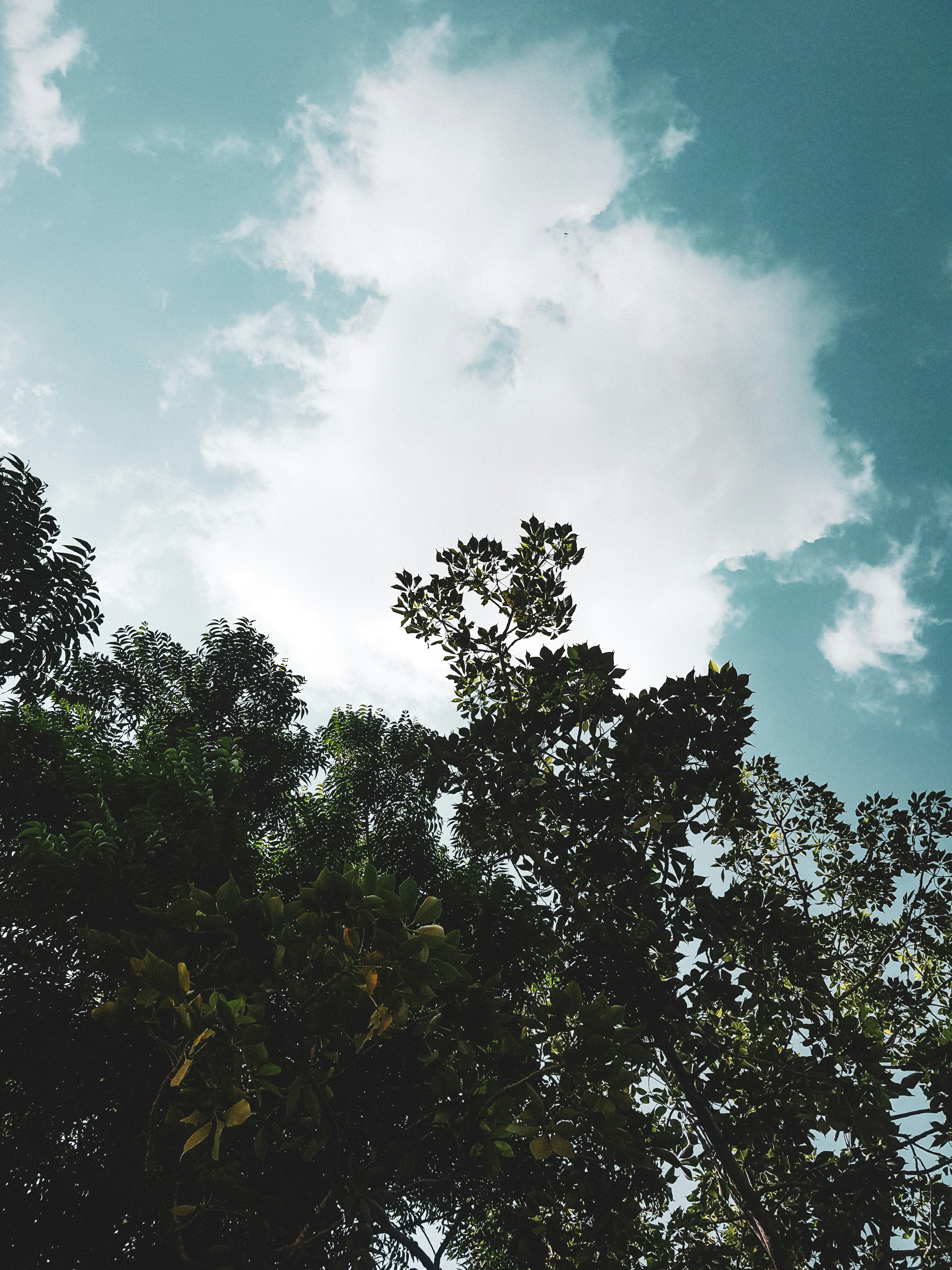 Photo by arshadgraph