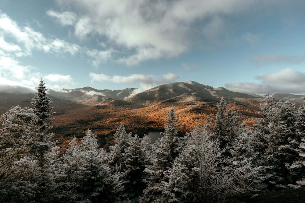 a landscape with trees and mountains in the back