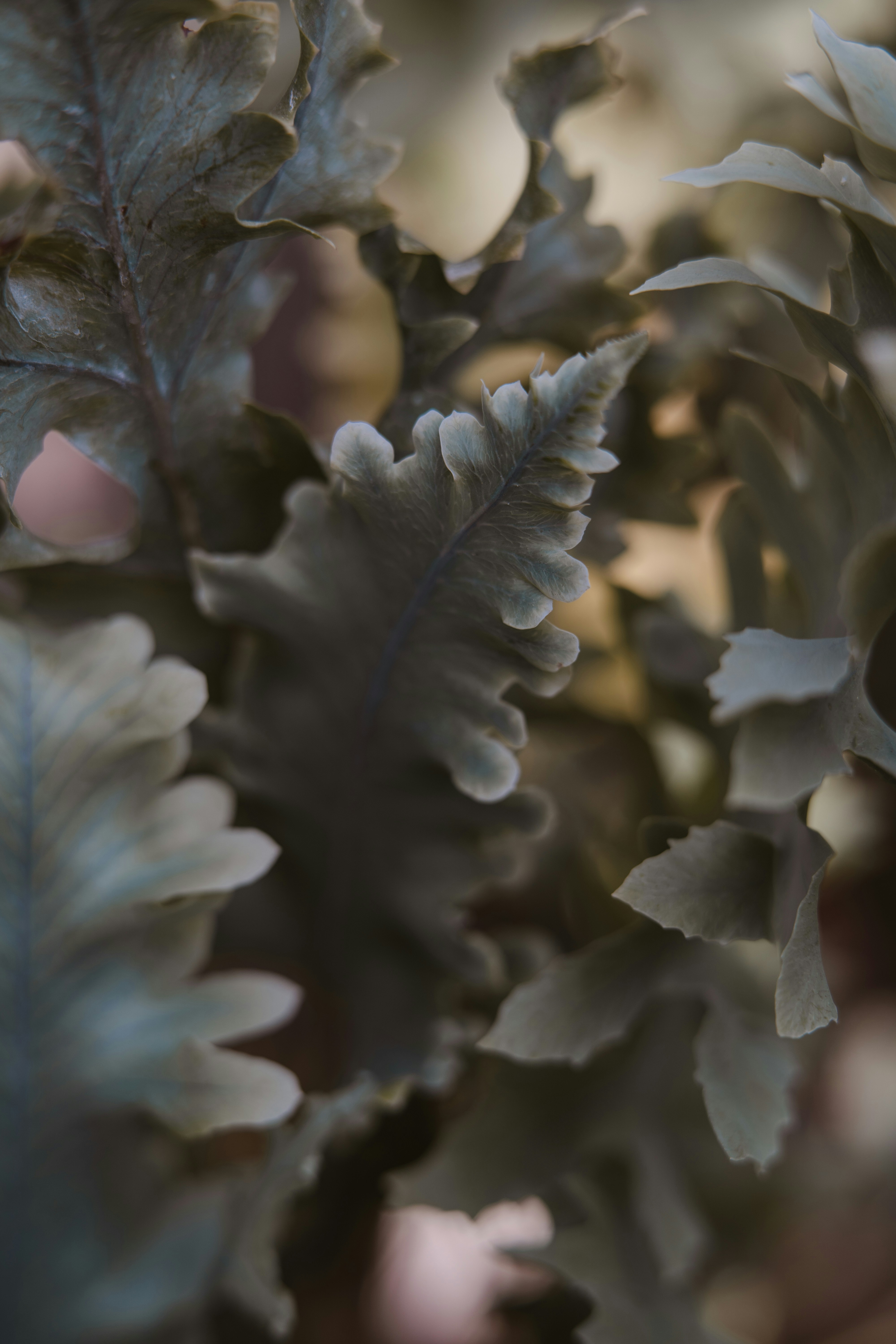 Photo by anamnesis33