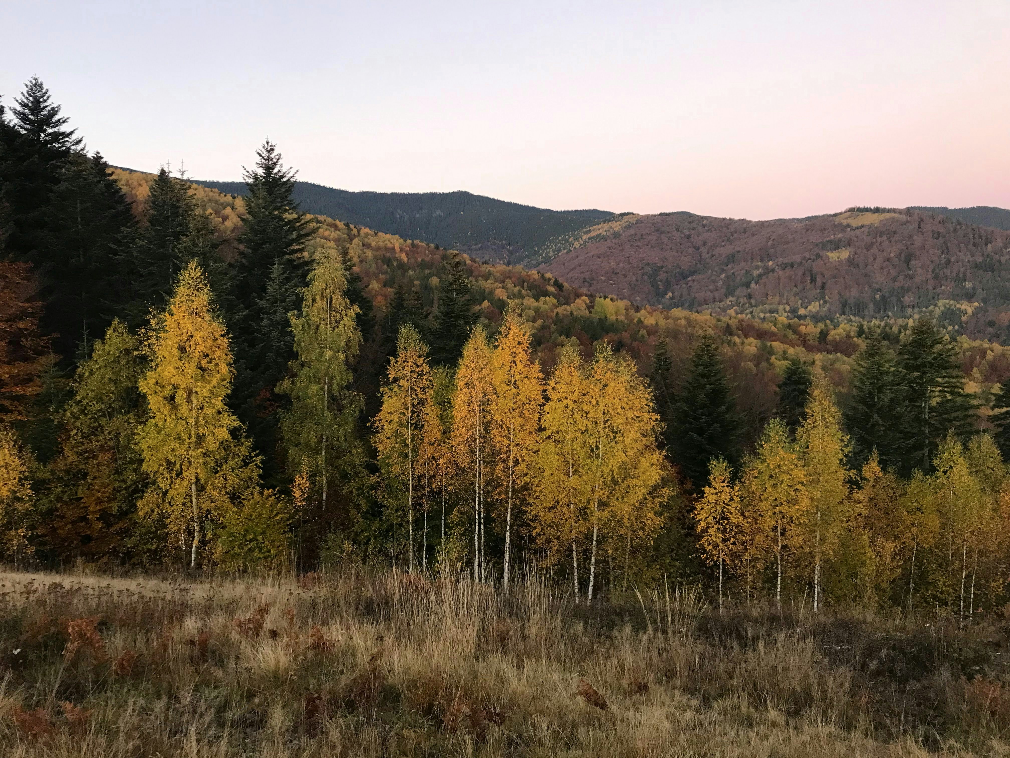 Photo by vadimmisyuchenko