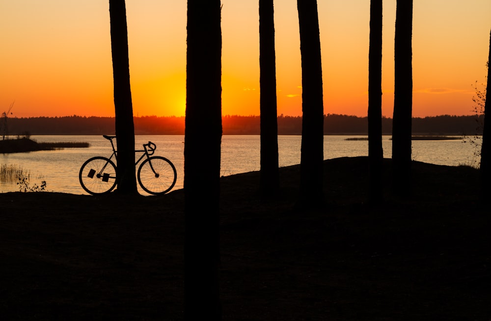 a bicycle parked on a dock