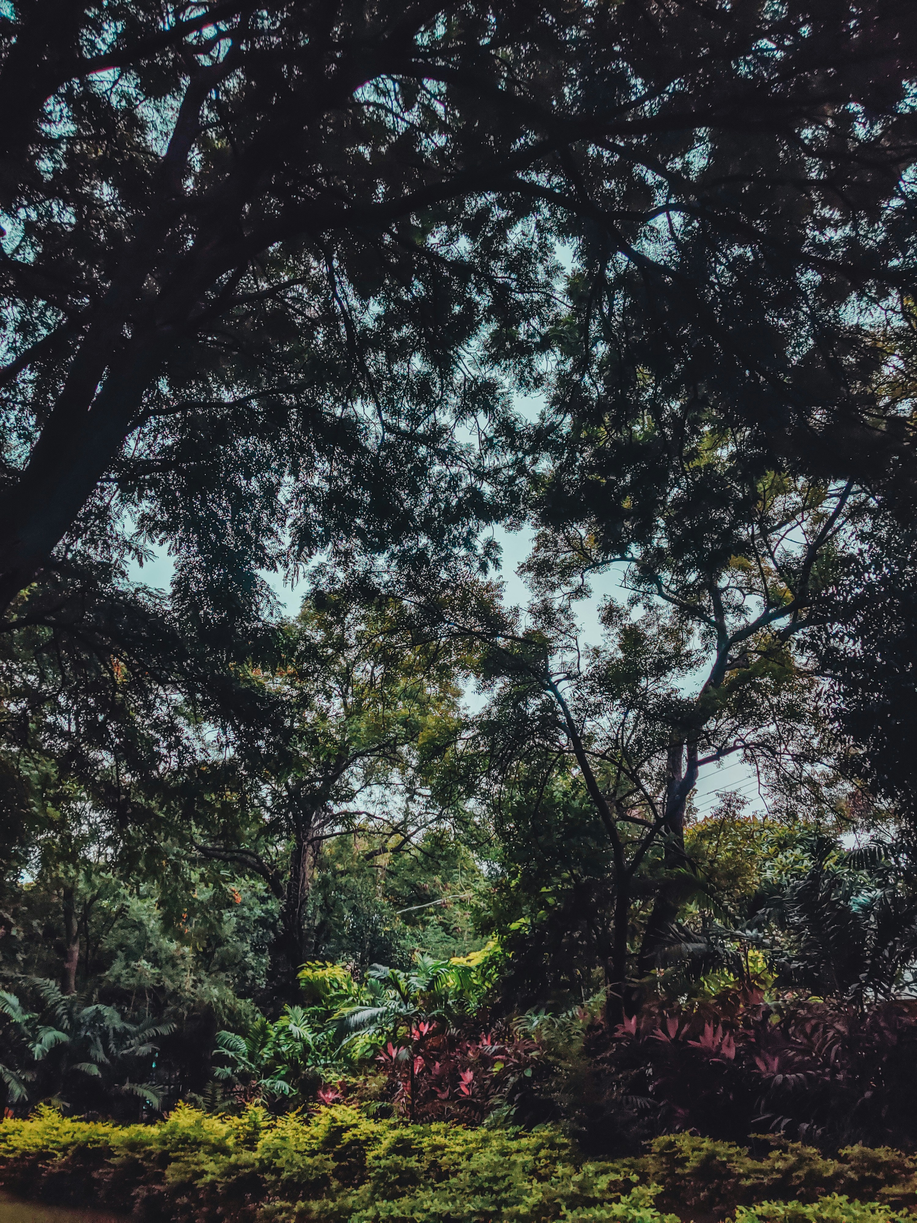 Photo by leointhemaking