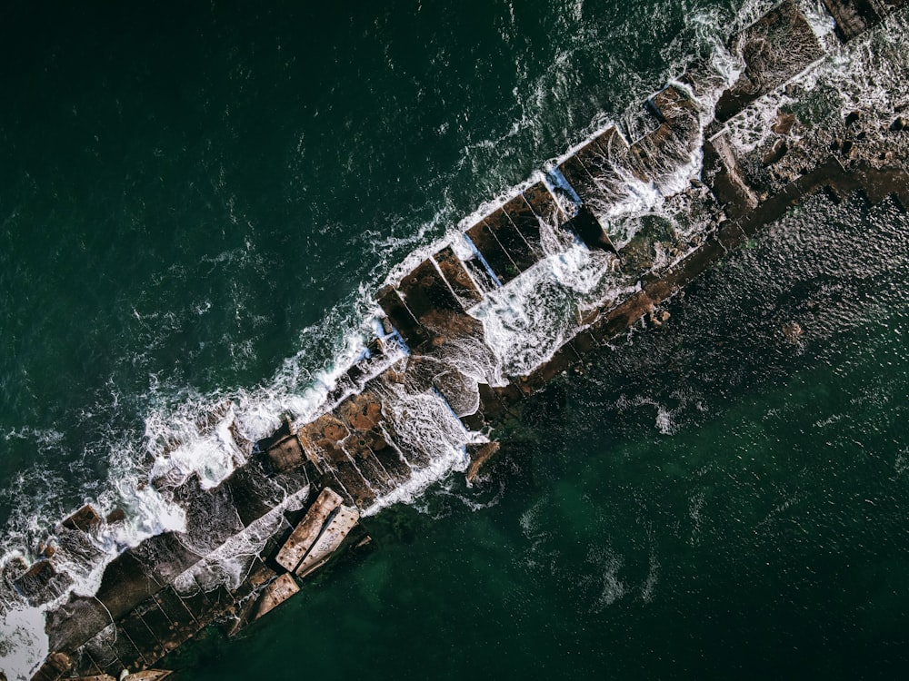 a large log in the water