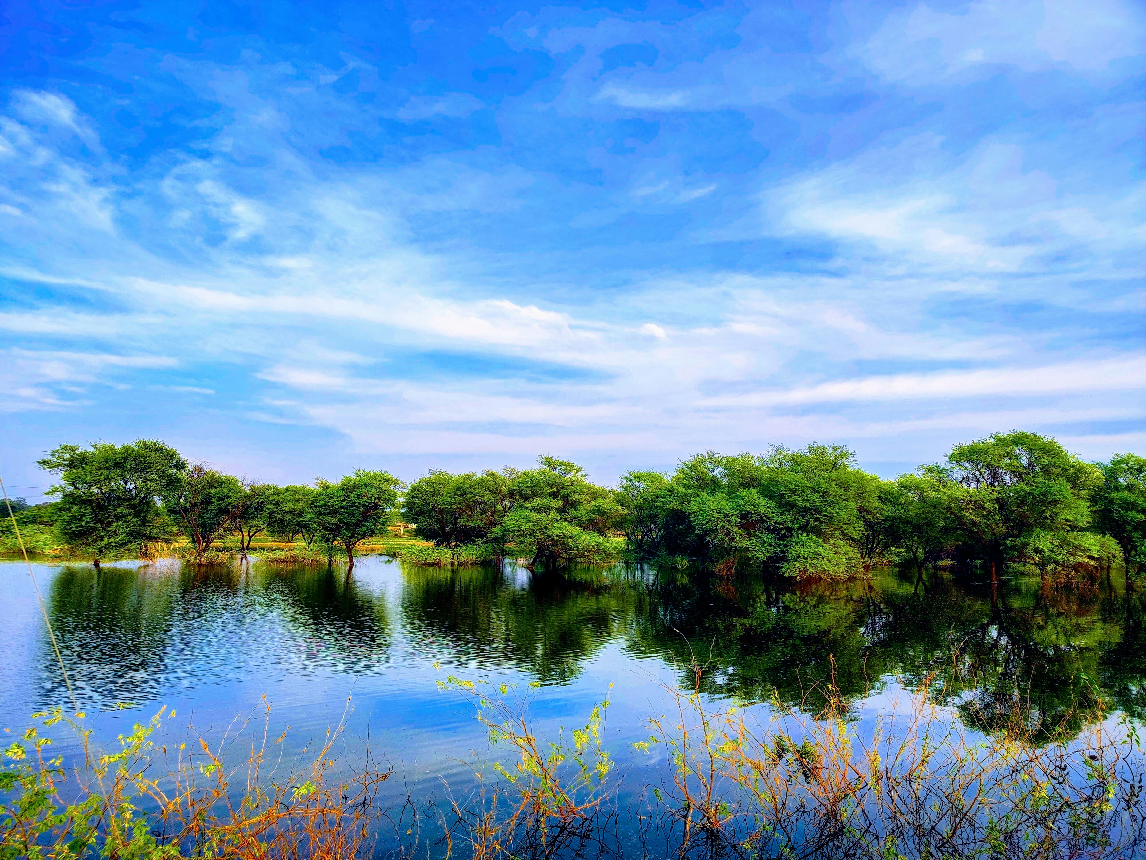 Photo by leointhemaking