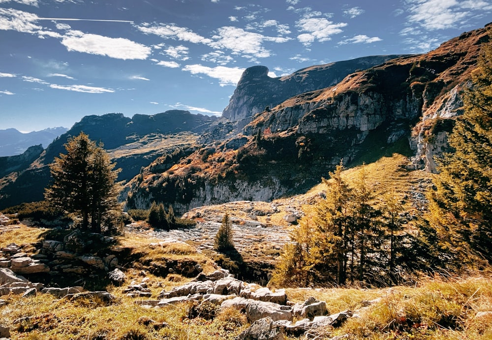 a rocky and forested area