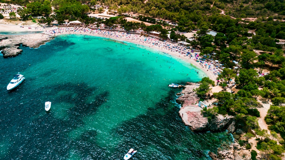 a beach with boats and people