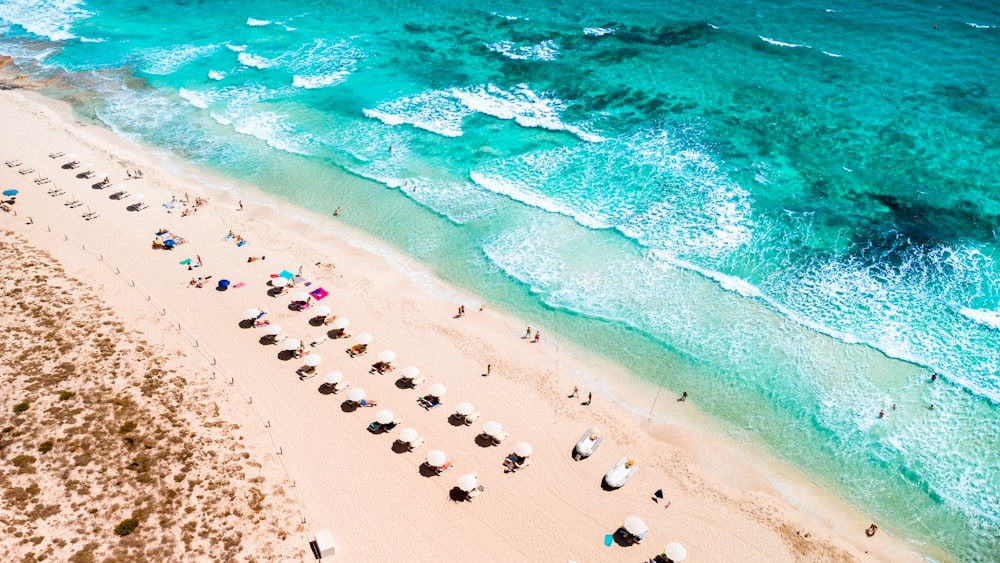 a beach with many people