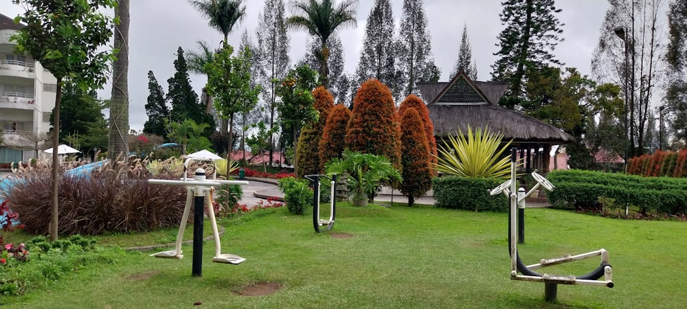 a backyard with a bench and trees