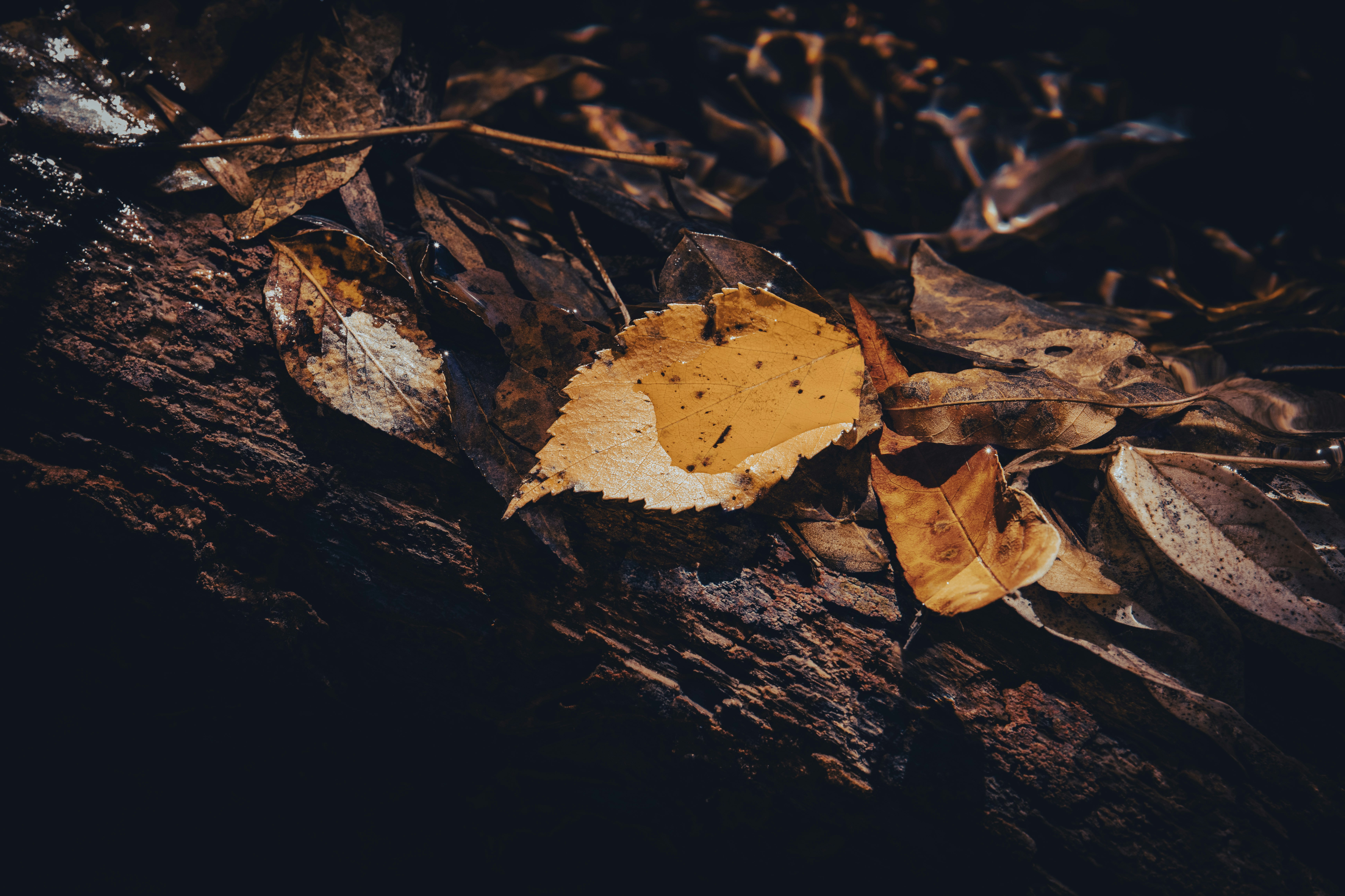 Photo by jonmsailer