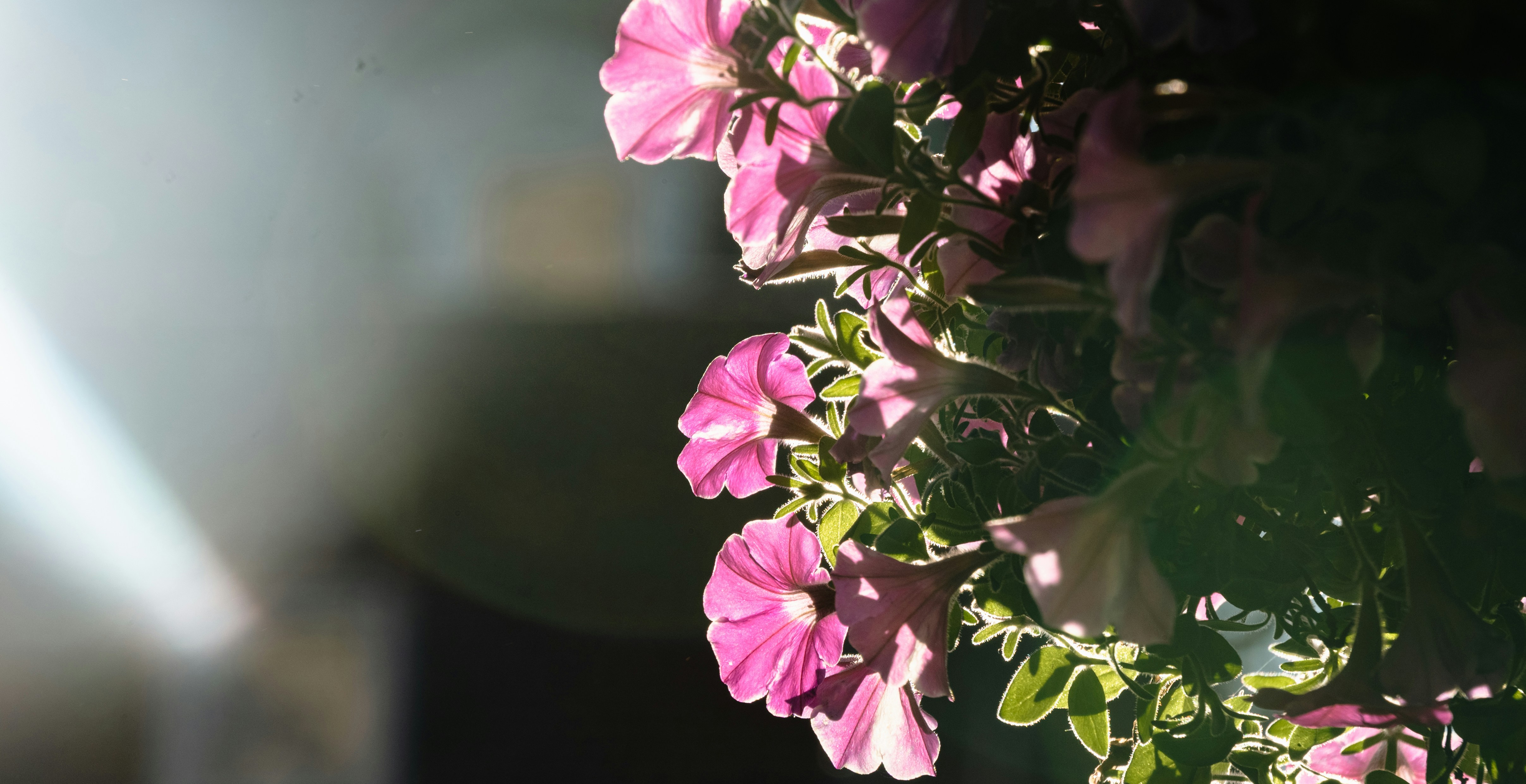 Photo by jumpingchick