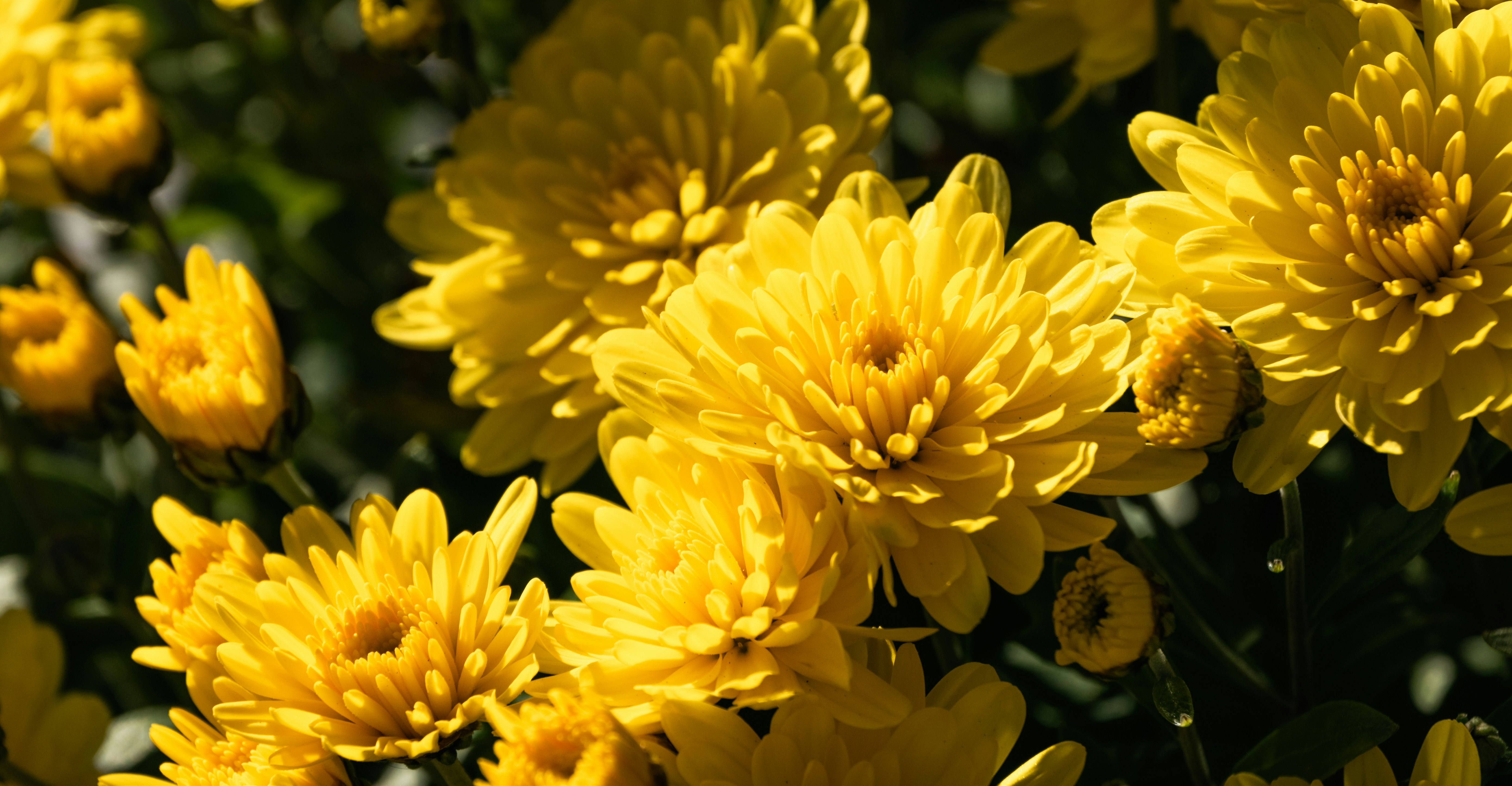 Photo by jumpingchick