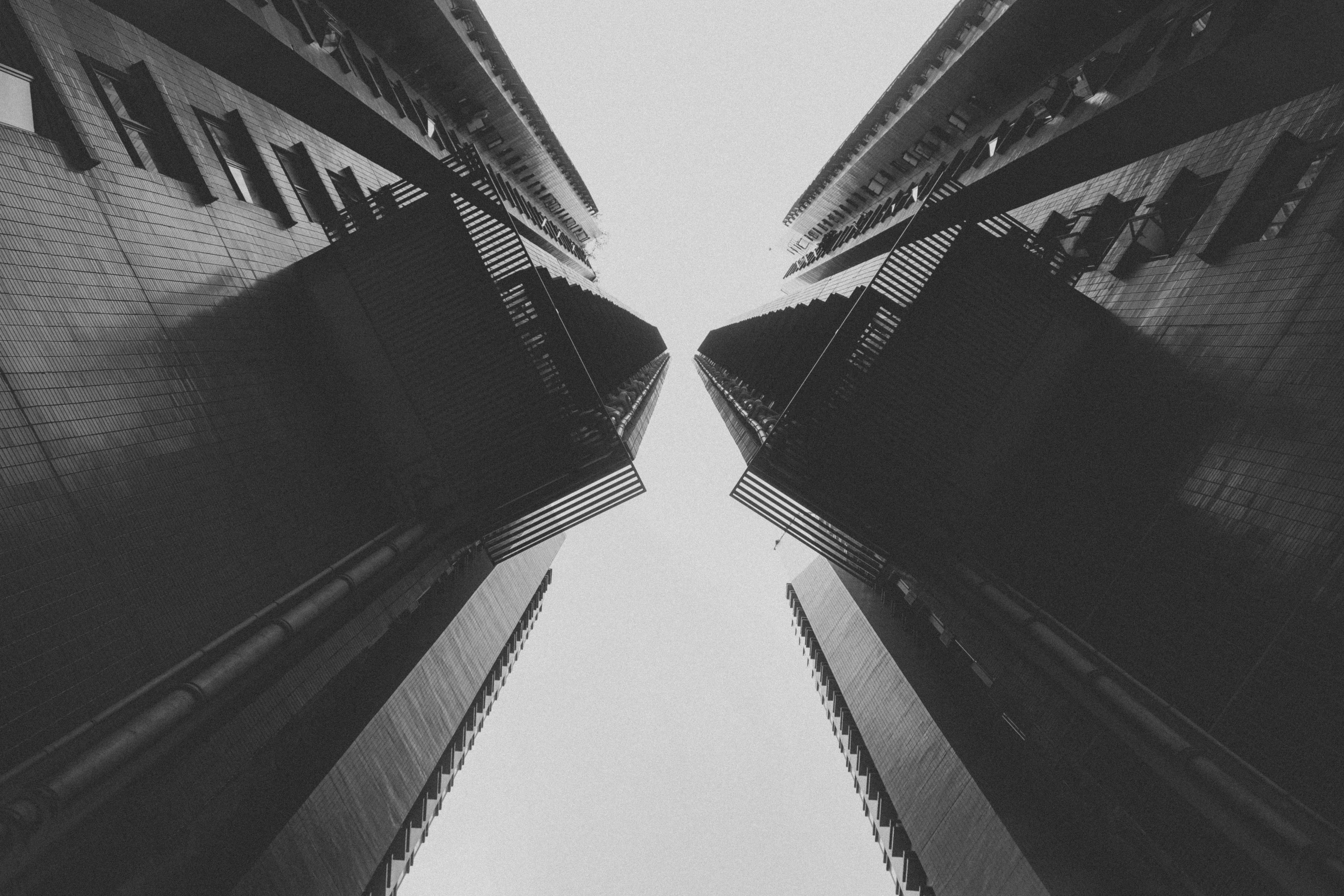 Photo by yohannlibot