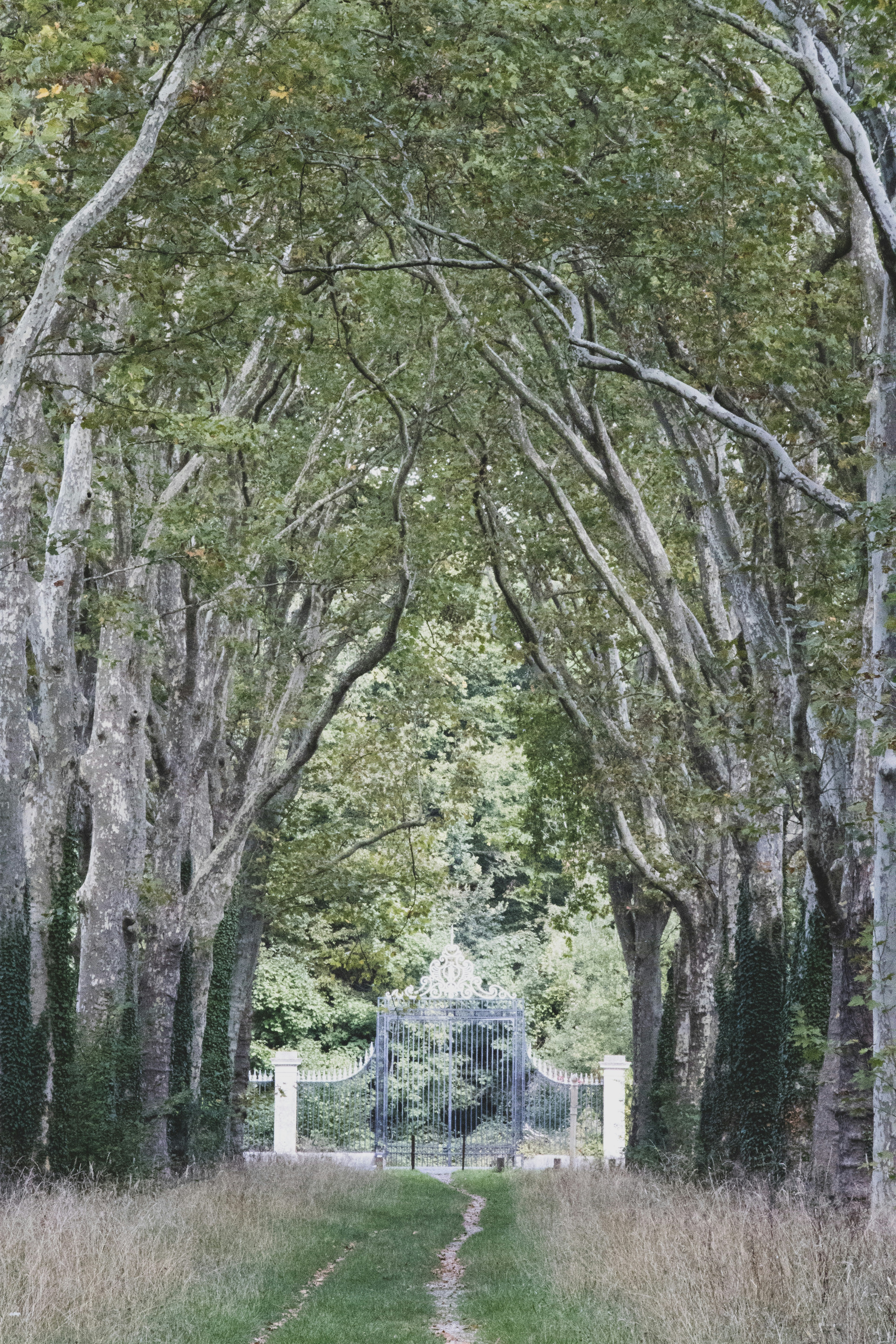 Photo by amandine_bataille_photo