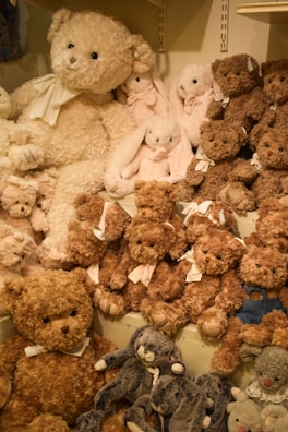 A collection of plush teddy bears and stuffed animals are arranged on shelves. The assortment includes brown and beige teddy bears of various sizes, some wearing bows. There are also pink and grey stuffed animals among the collection.