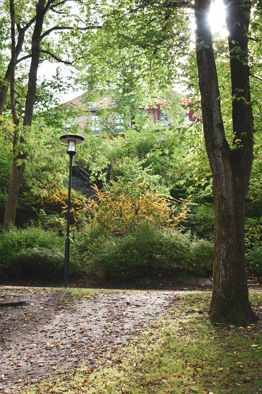 a path with trees and a lamp post with a building in the background