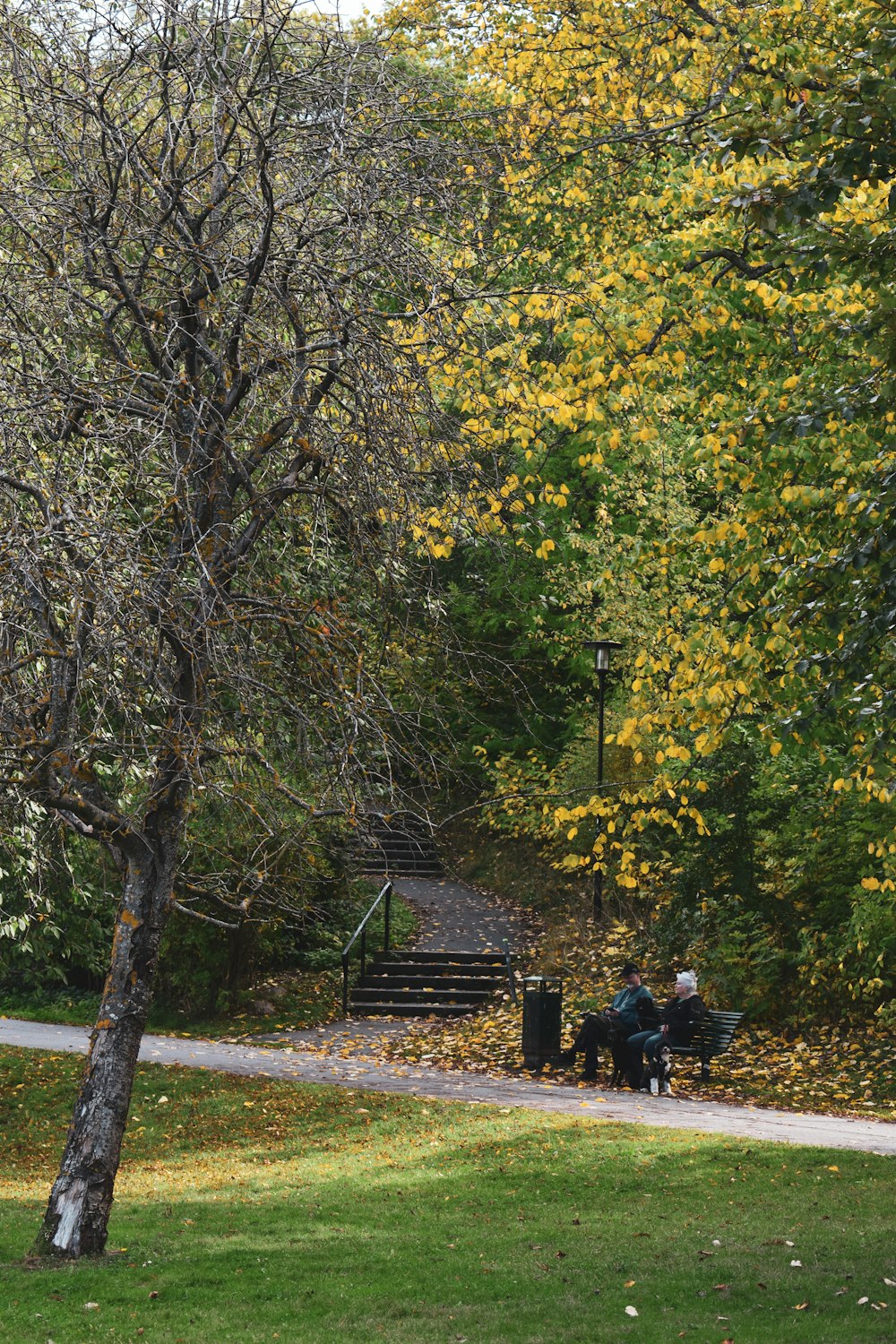 a couple of people sitting on a bench in a park