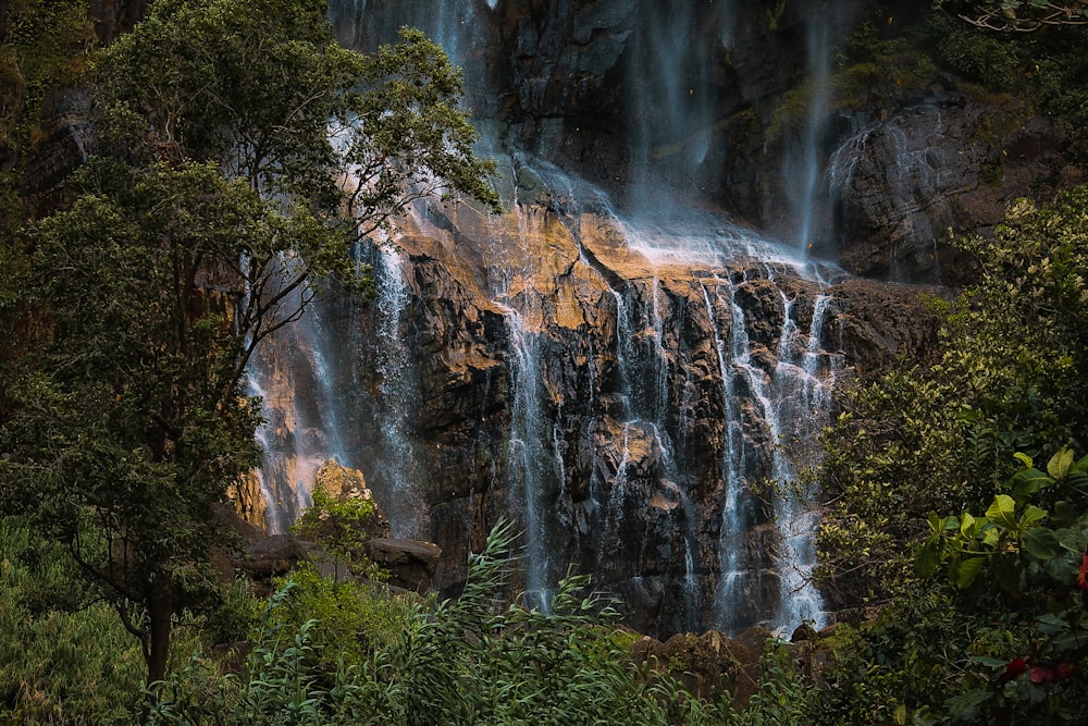 a waterfall in a forest