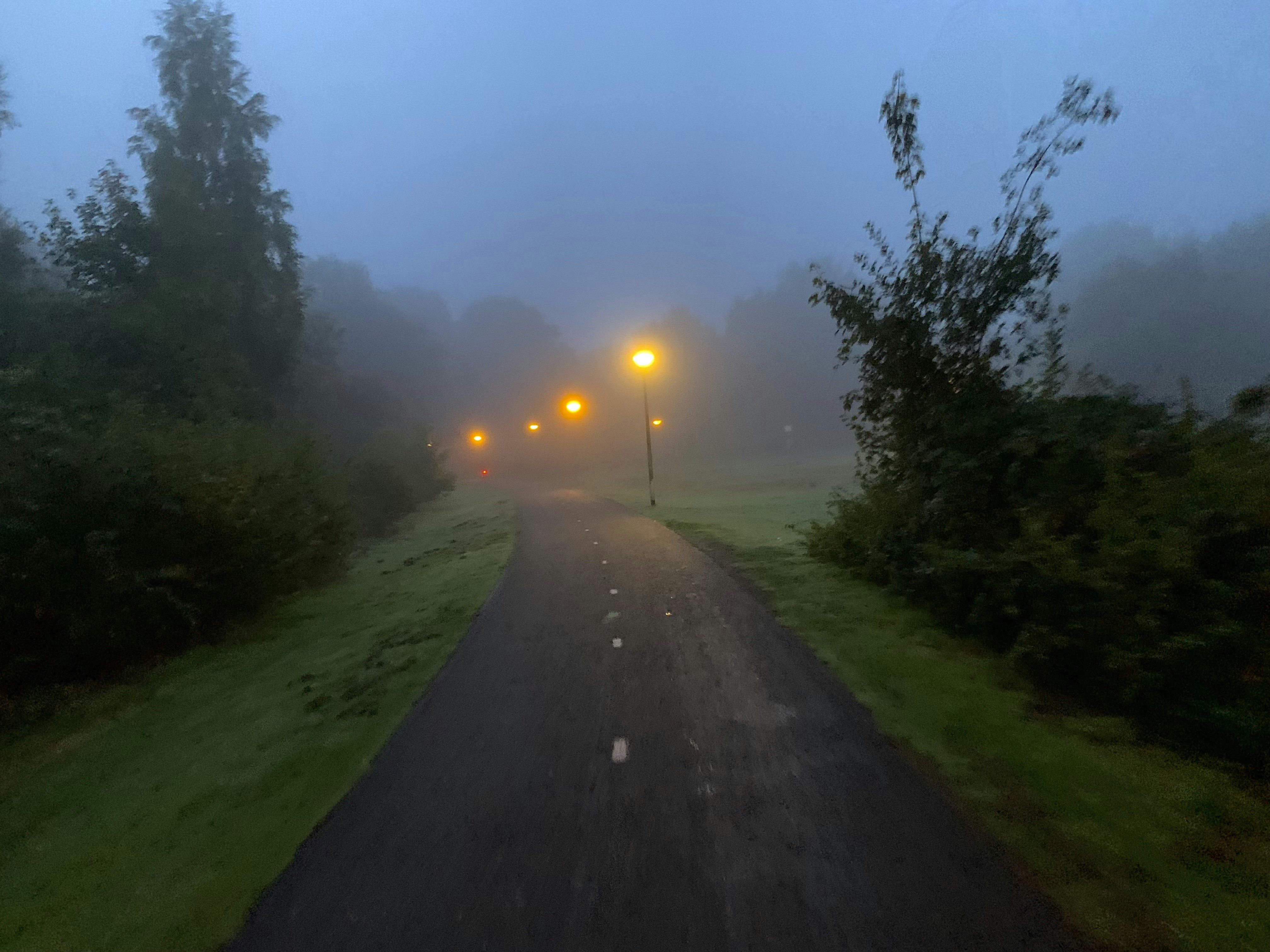 Bluestone Lane