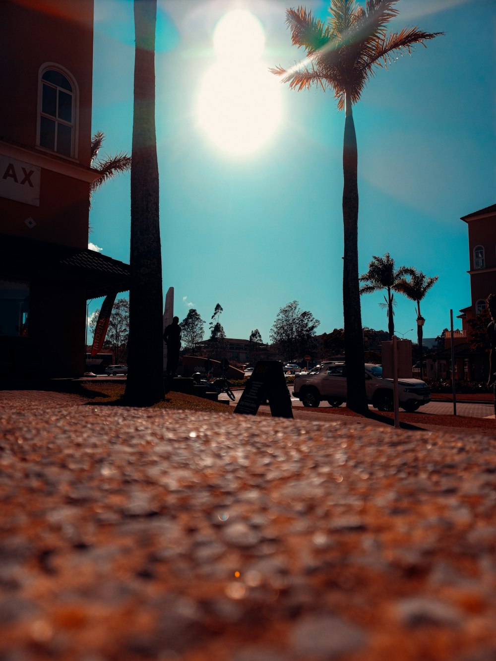 a street with palm trees and buildings