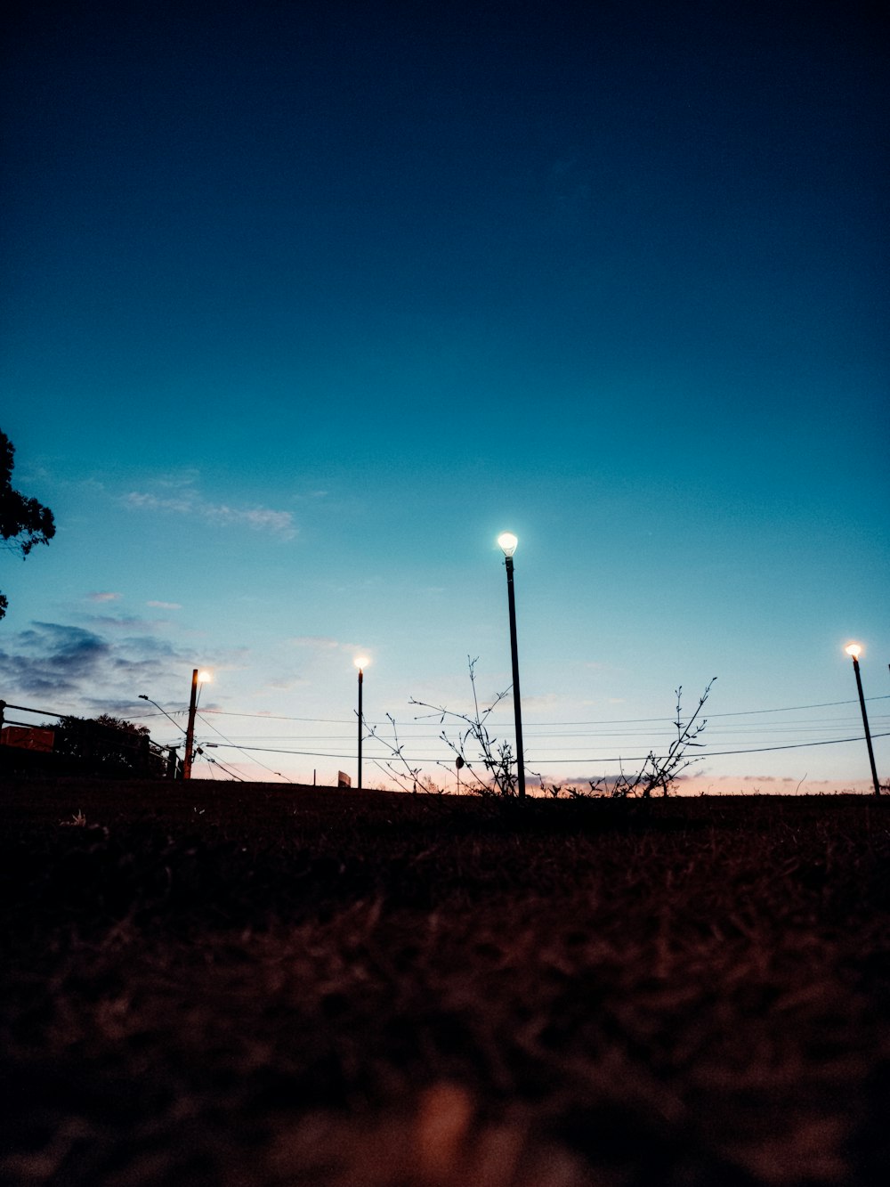 a group of street lights