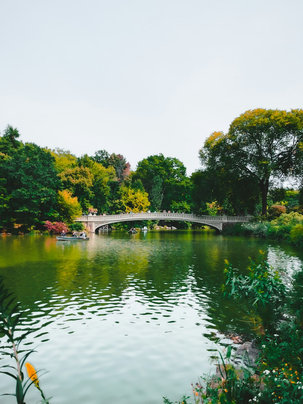 a bridge over a river