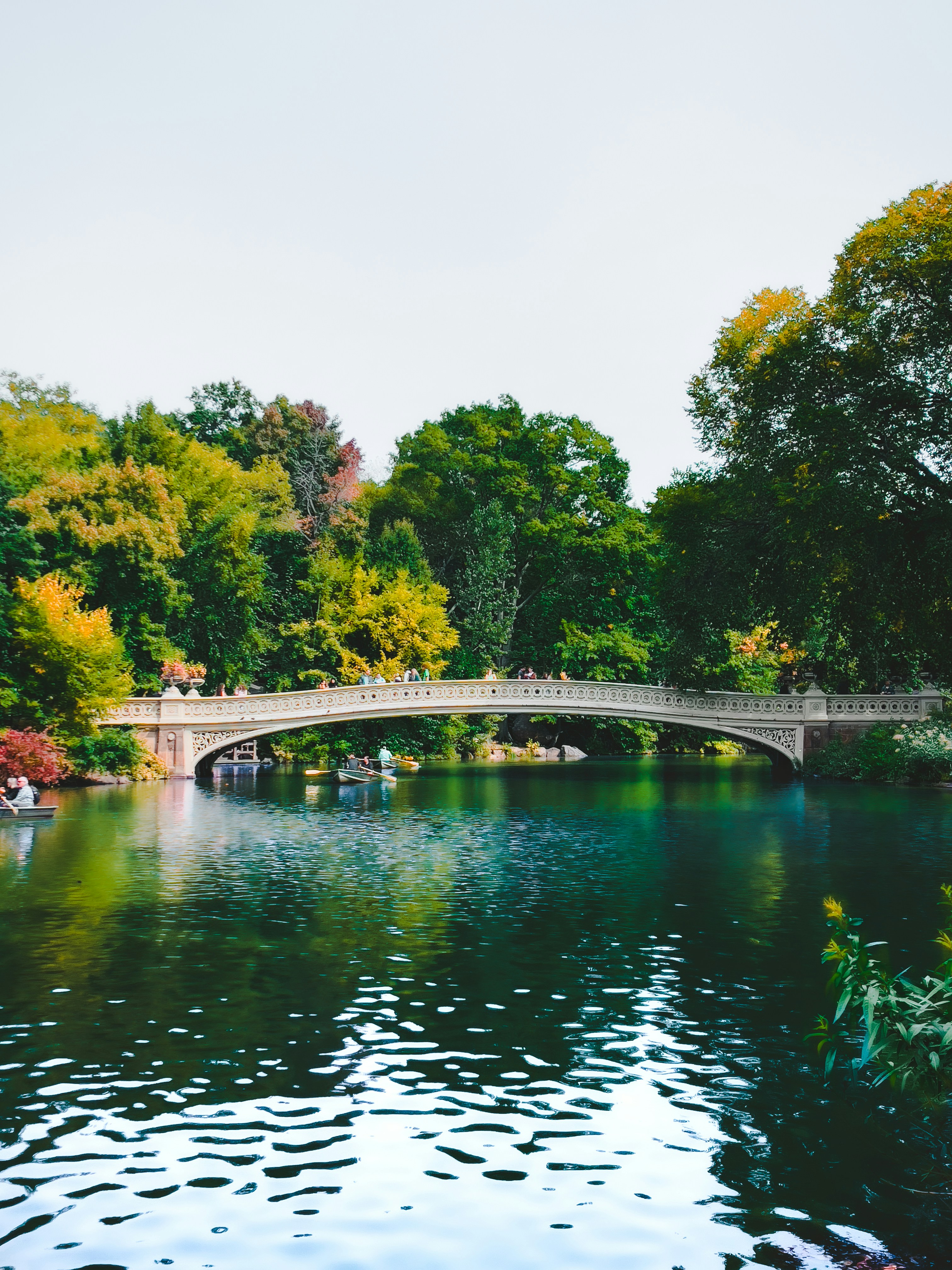 Photo by fruitboykid