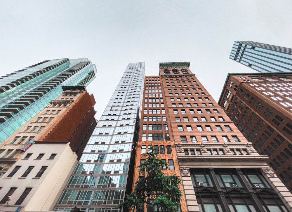 a group of tall buildings