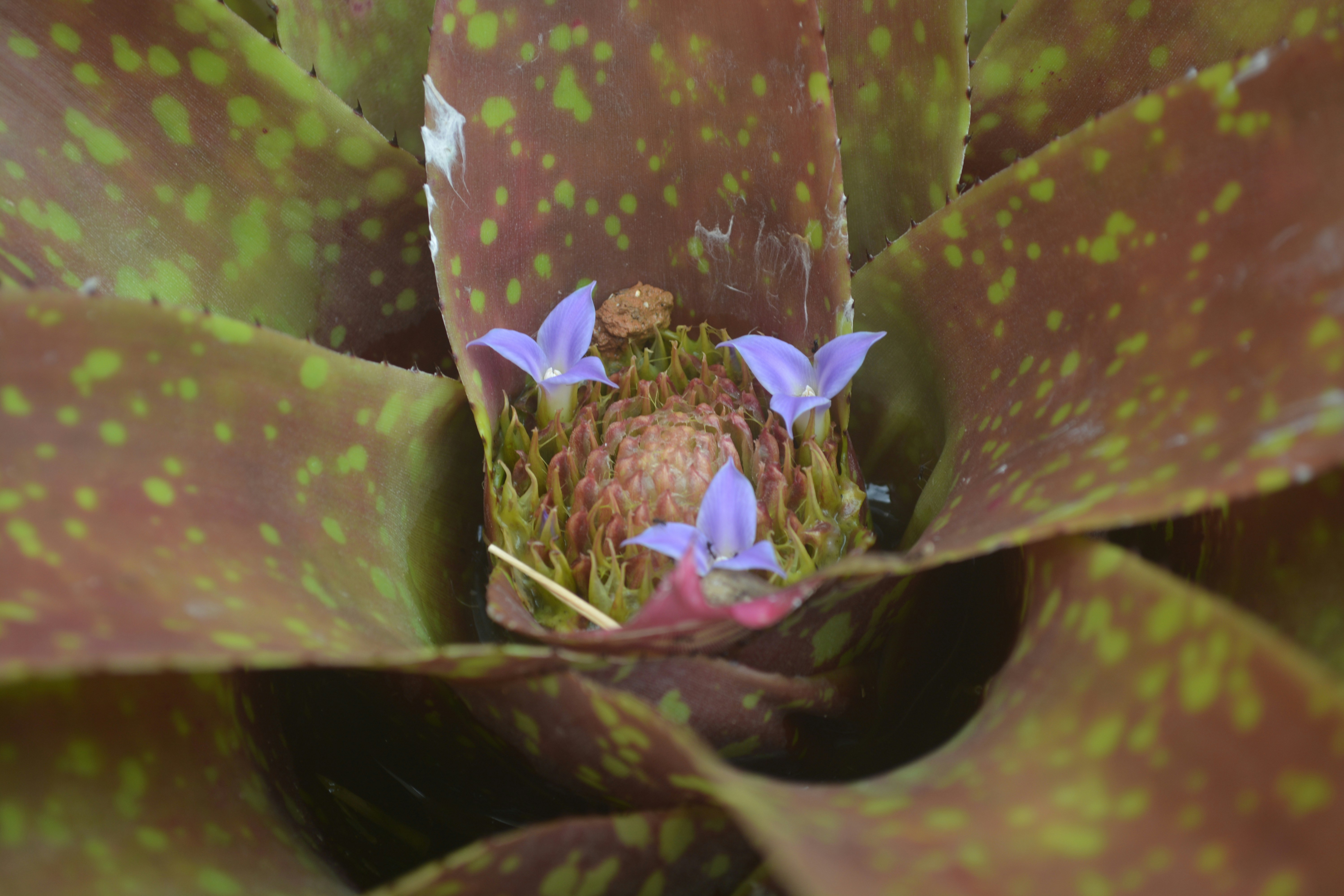 Photo by hpcrownvisuals