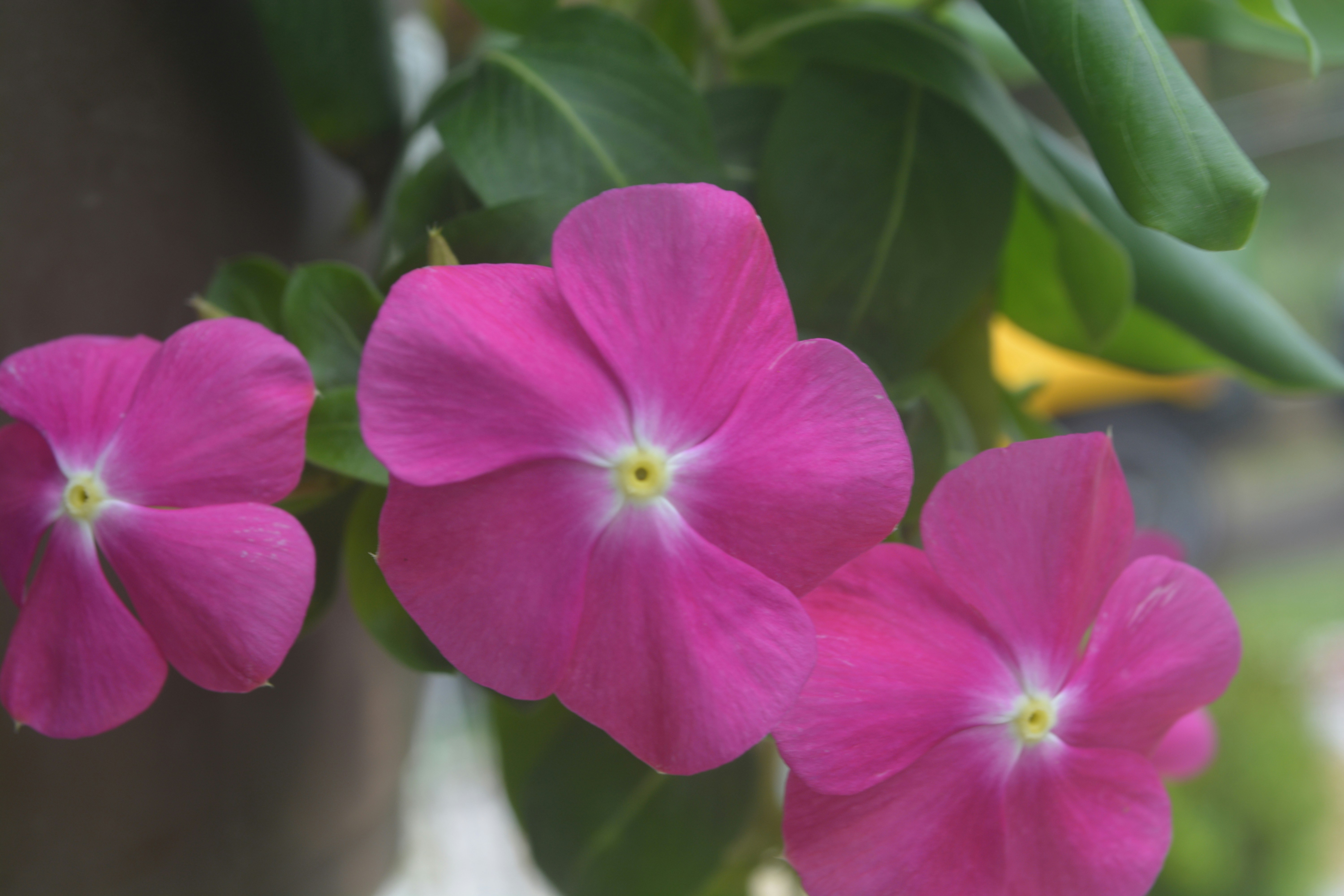 Photo by hpcrownvisuals