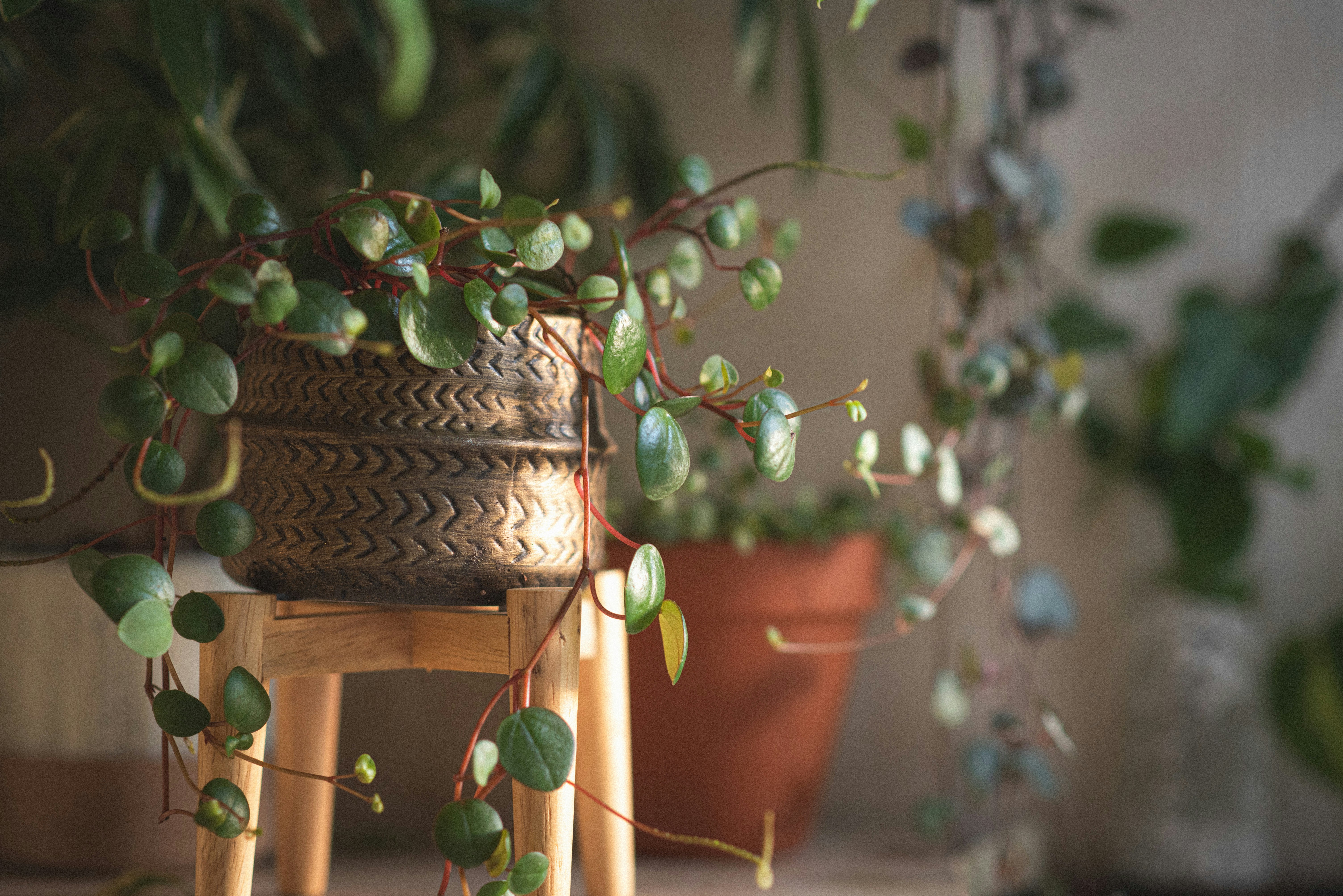 Photo by ellyendeavours