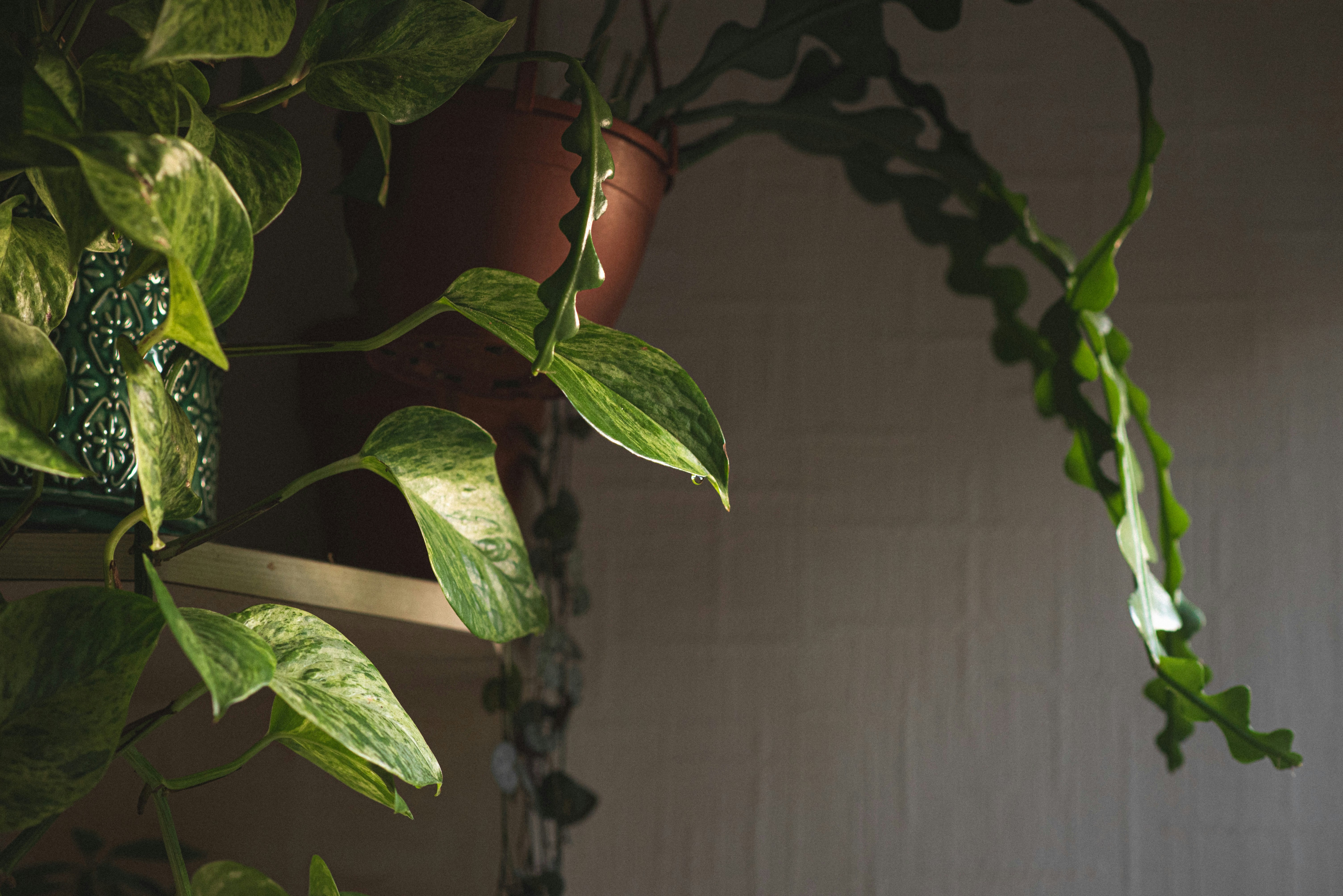 Photo by ellyendeavours