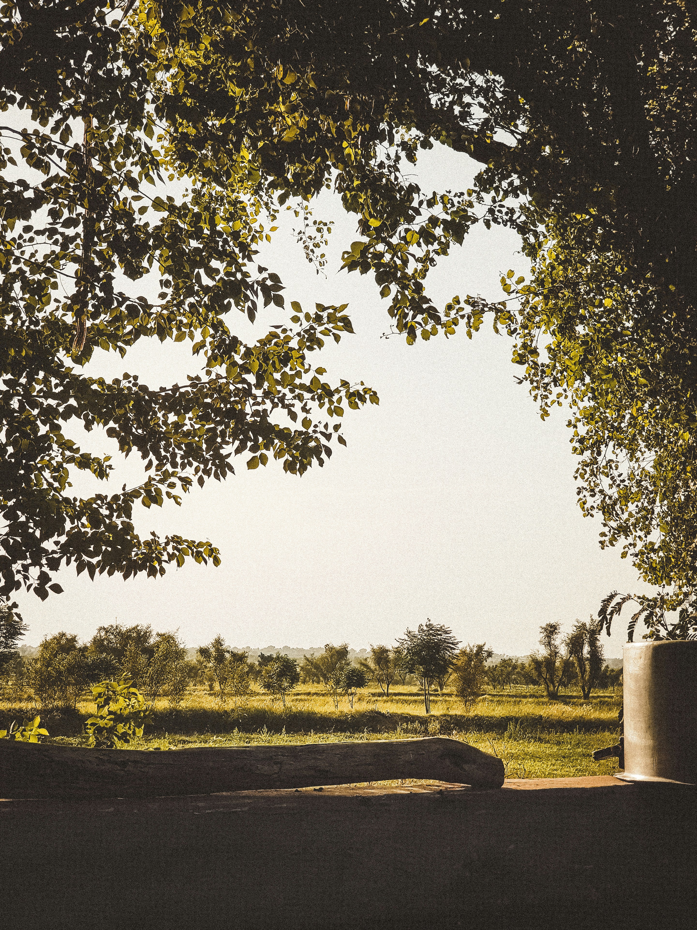 Photo by arshadgraph