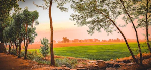 A peaceful rural landscape captured during a travel journey with rich color contrasts