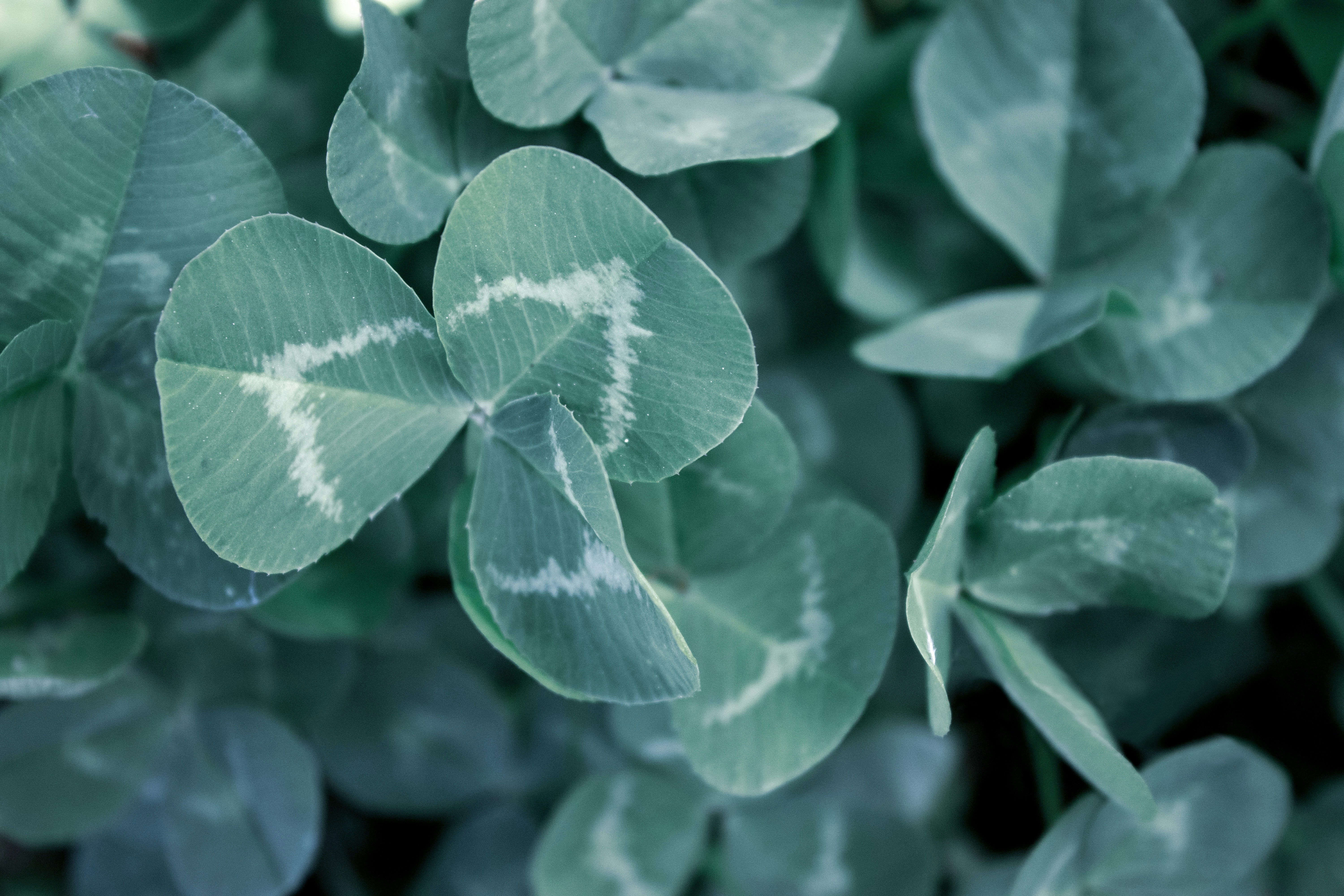 Photo by anafsvieira