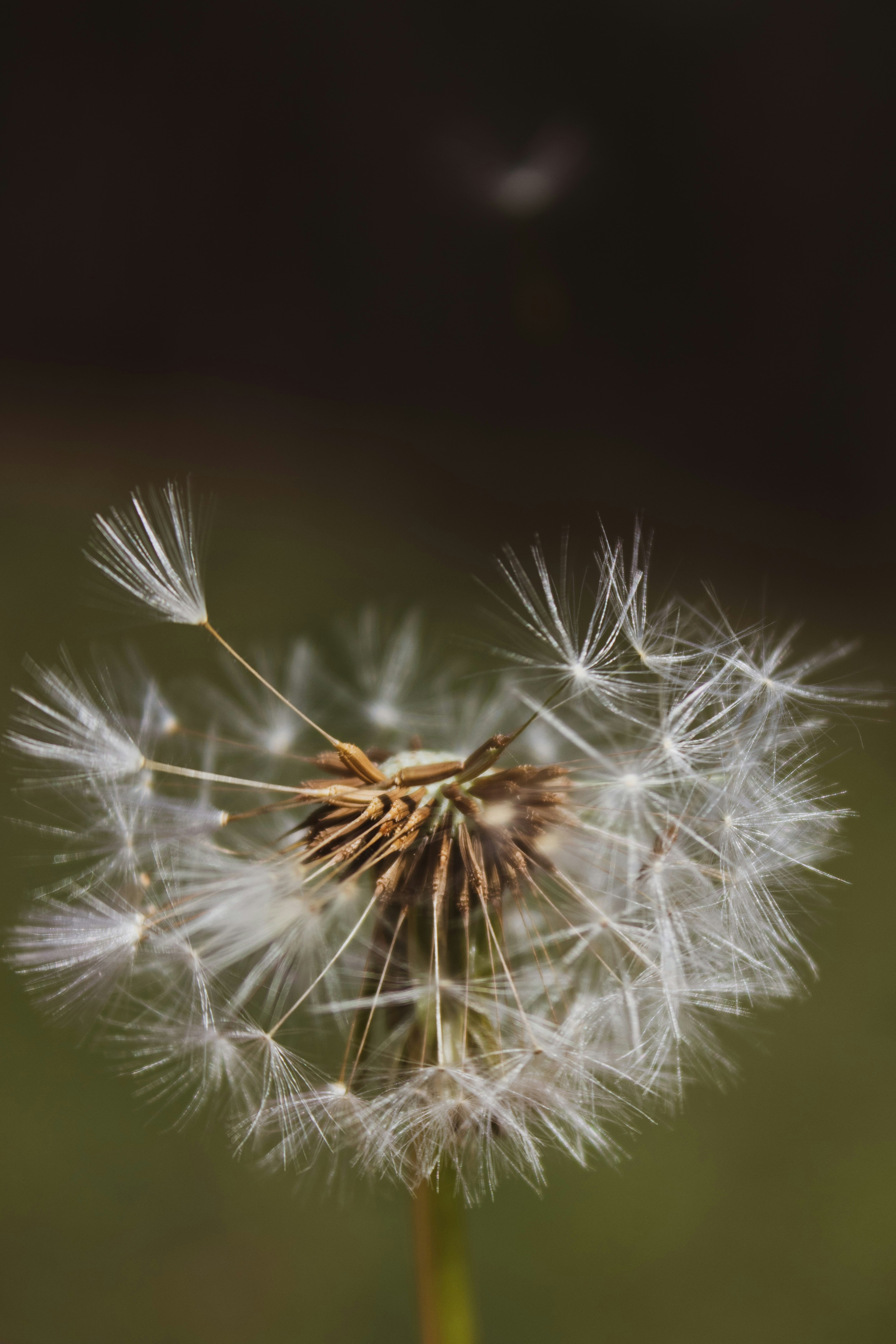 Photo by anafsvieira