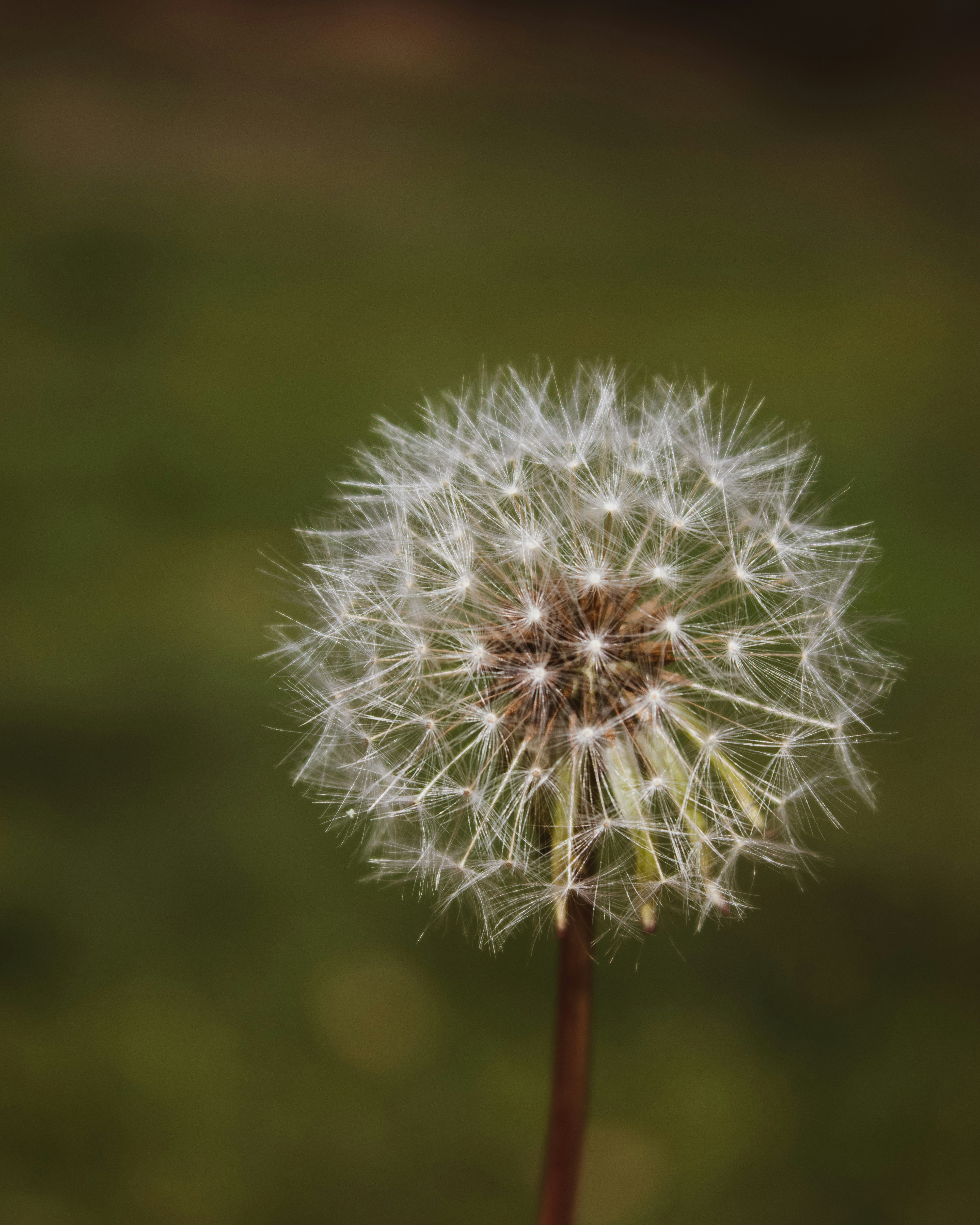 Photo by anafsvieira